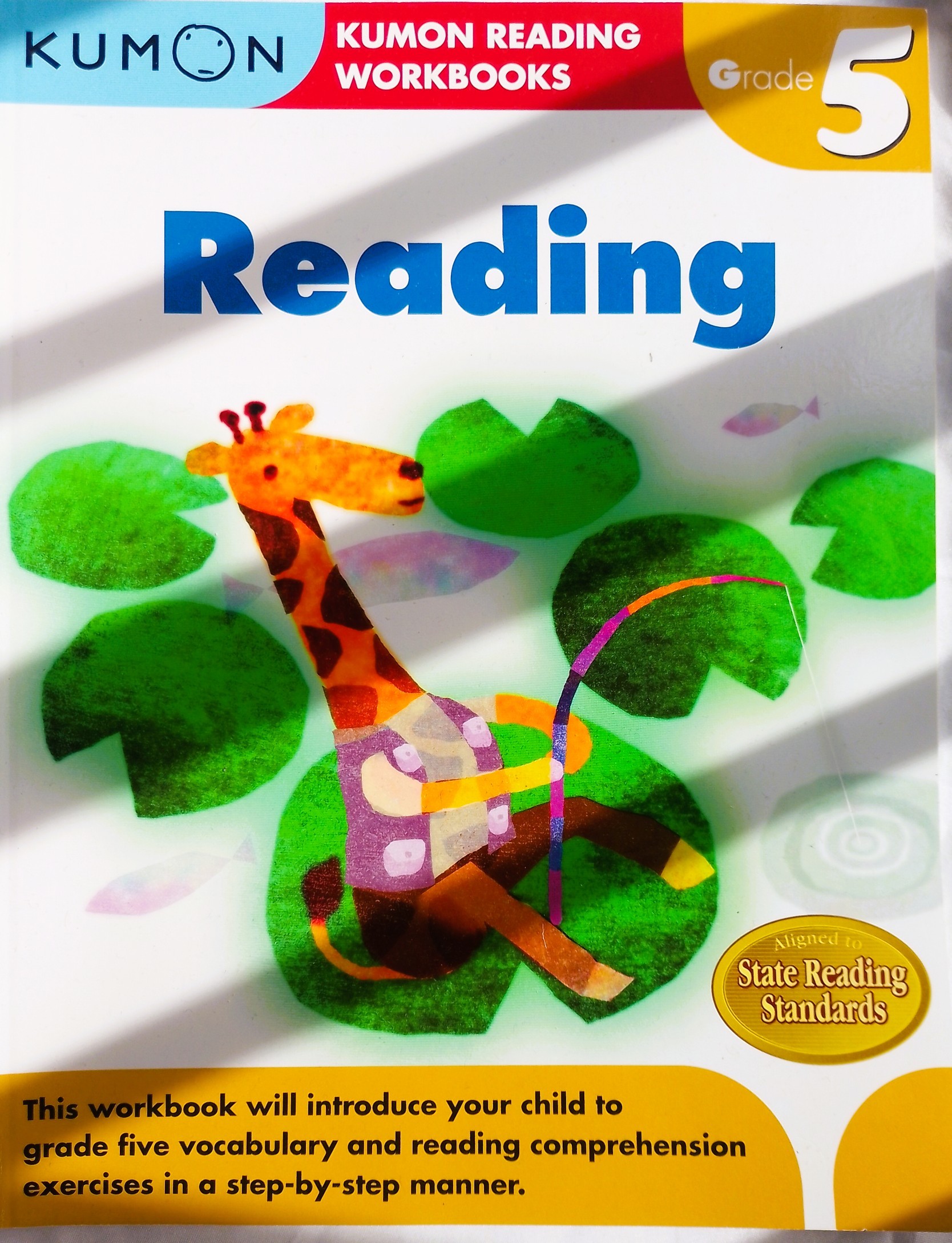 Kumon Grade 5 Reading & Writing Workbooks