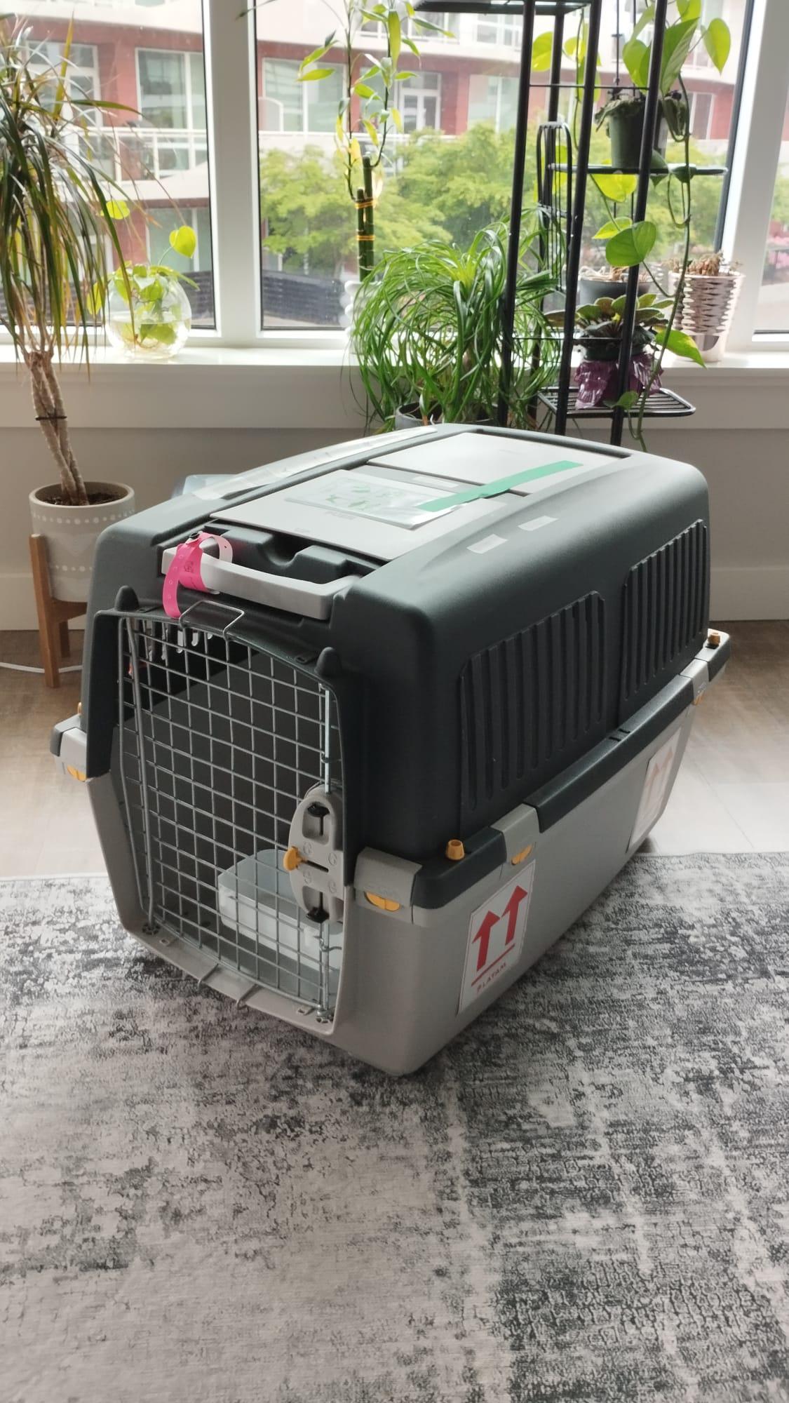 Stefanplast Gulliver 4 IATA Approved Dog Carrier