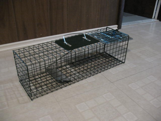 Small Live Animal Cage Trap, BRAND NEW - photo 5