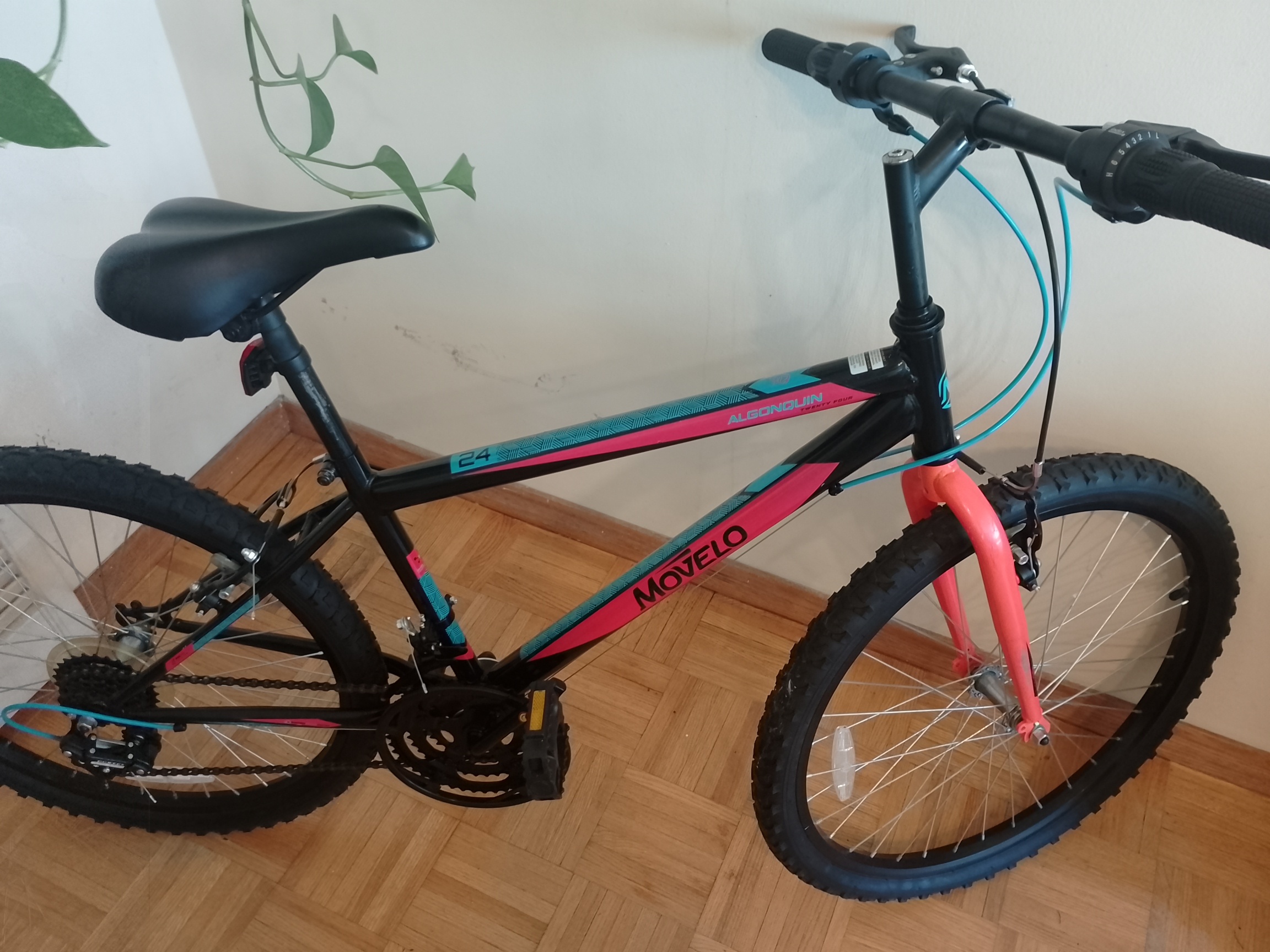 Movelo Algonquin 24" Bike
