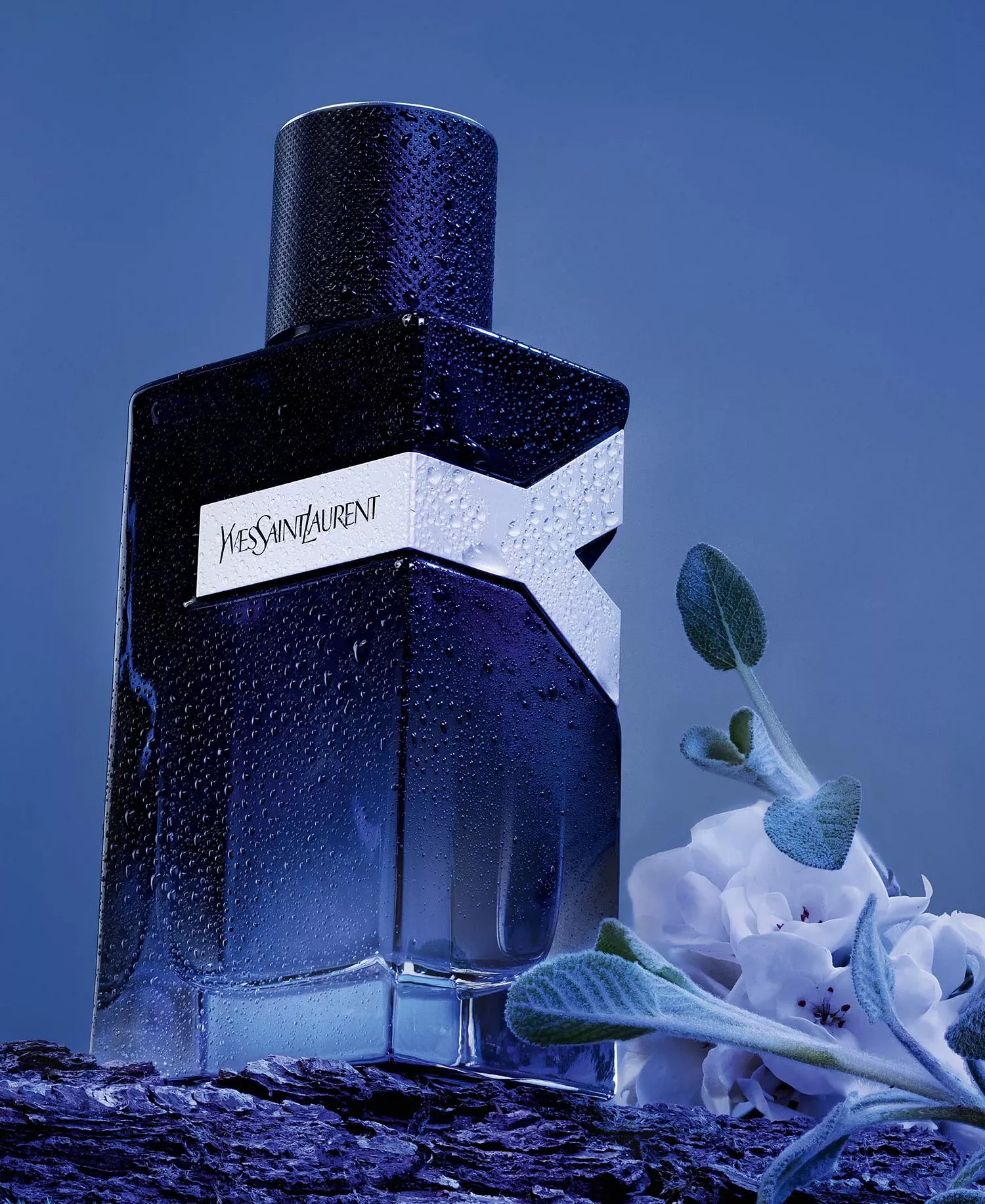 YSL Y Eau de Parfum
