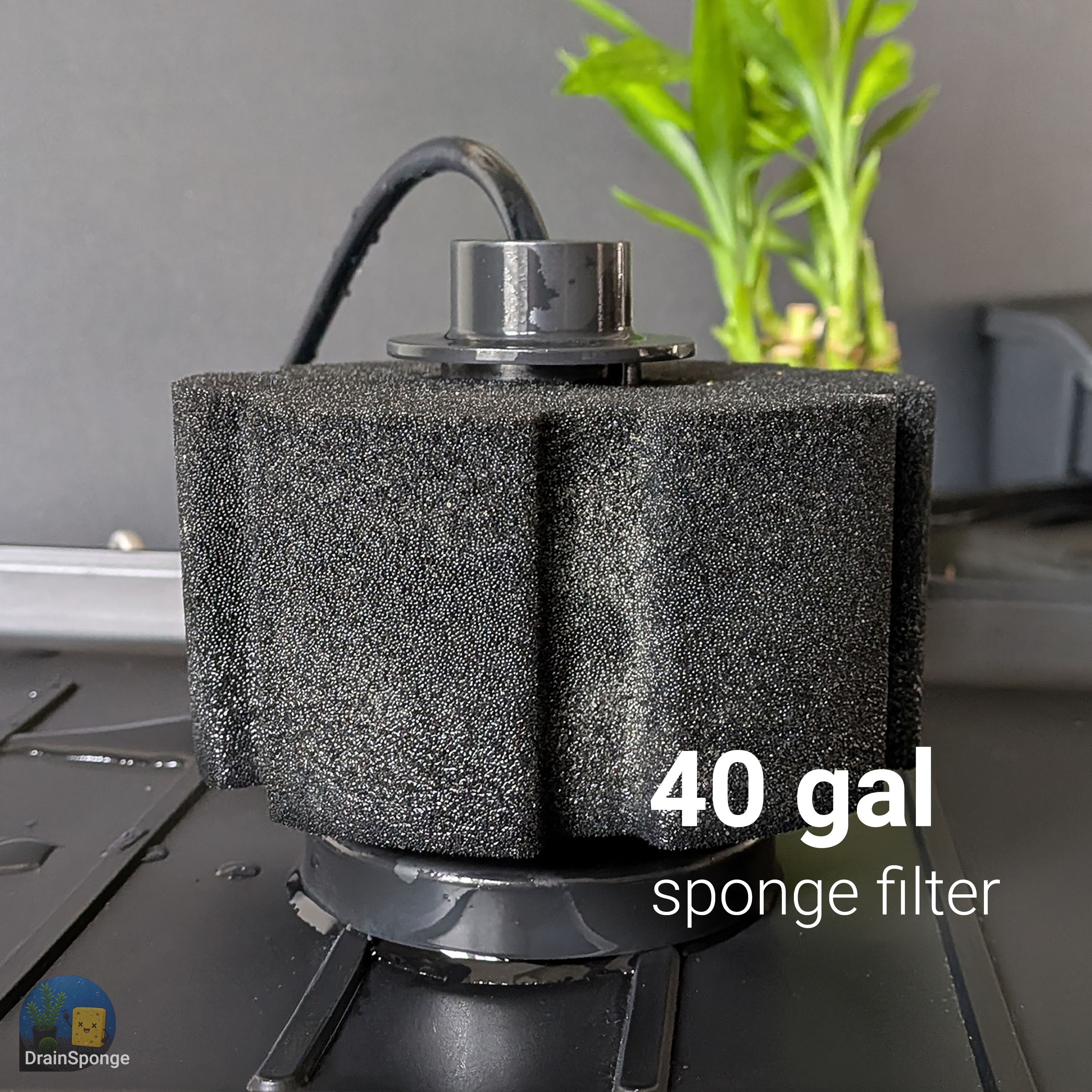 🧽 Seeded Sponge Filter – Ready to Use🐟 - photo 4