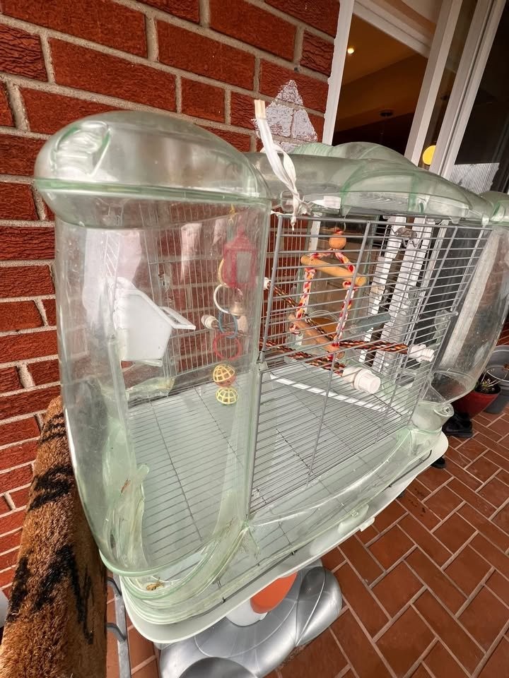 Hagen Vision Bird Cage w/Stand & Lots of Accessories - photo 4