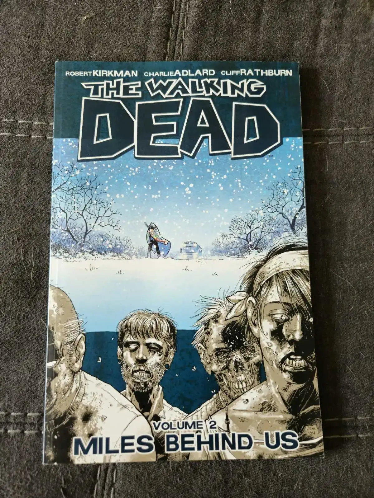 The Walking Dead Comic Books Vol. 1-3 - photo 2