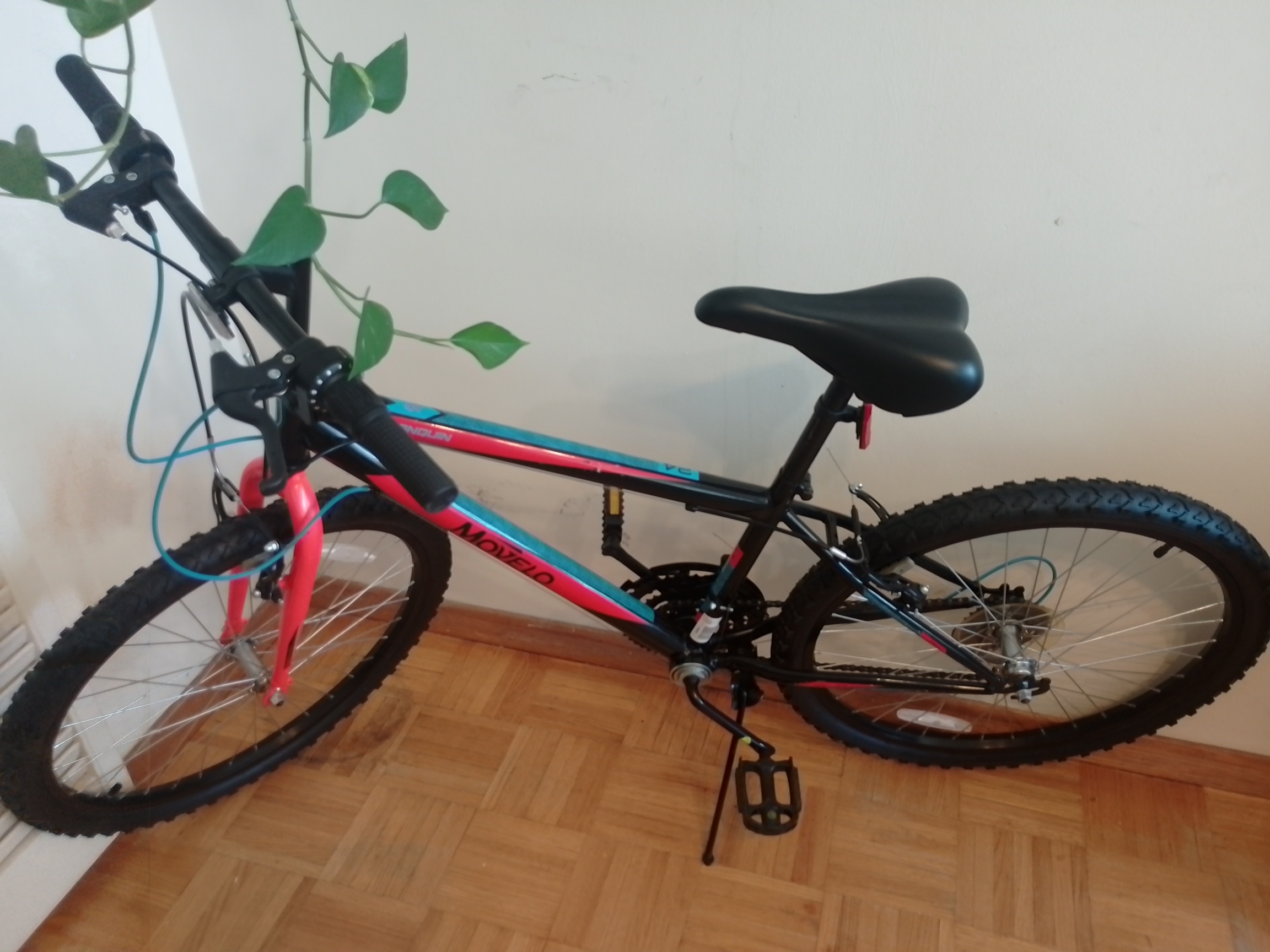 Movelo Algonquin 24" Bike - photo 5