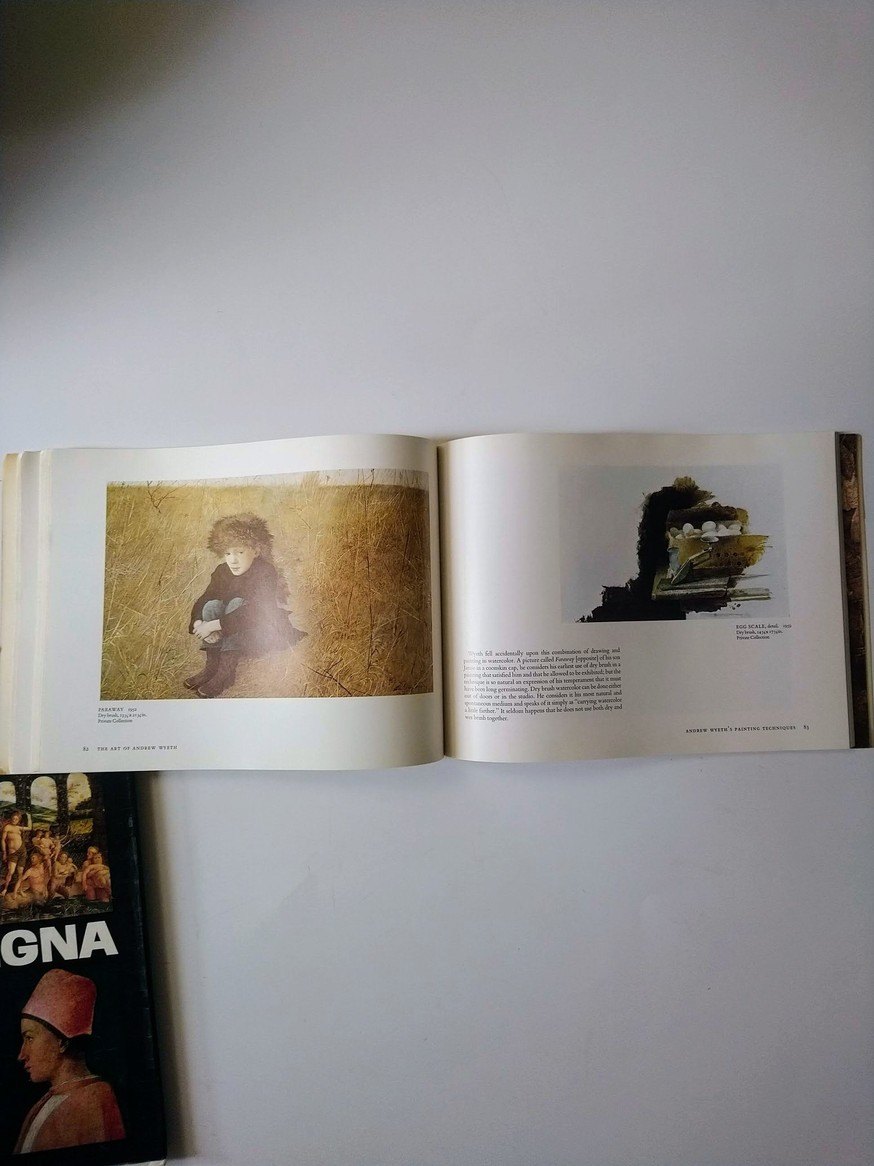 The Art of Andrew Wyeth / Mantegna! - photo 4