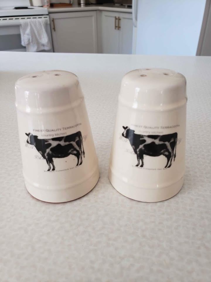 Teapot + Mug with Salt & Pepper set - photo 4