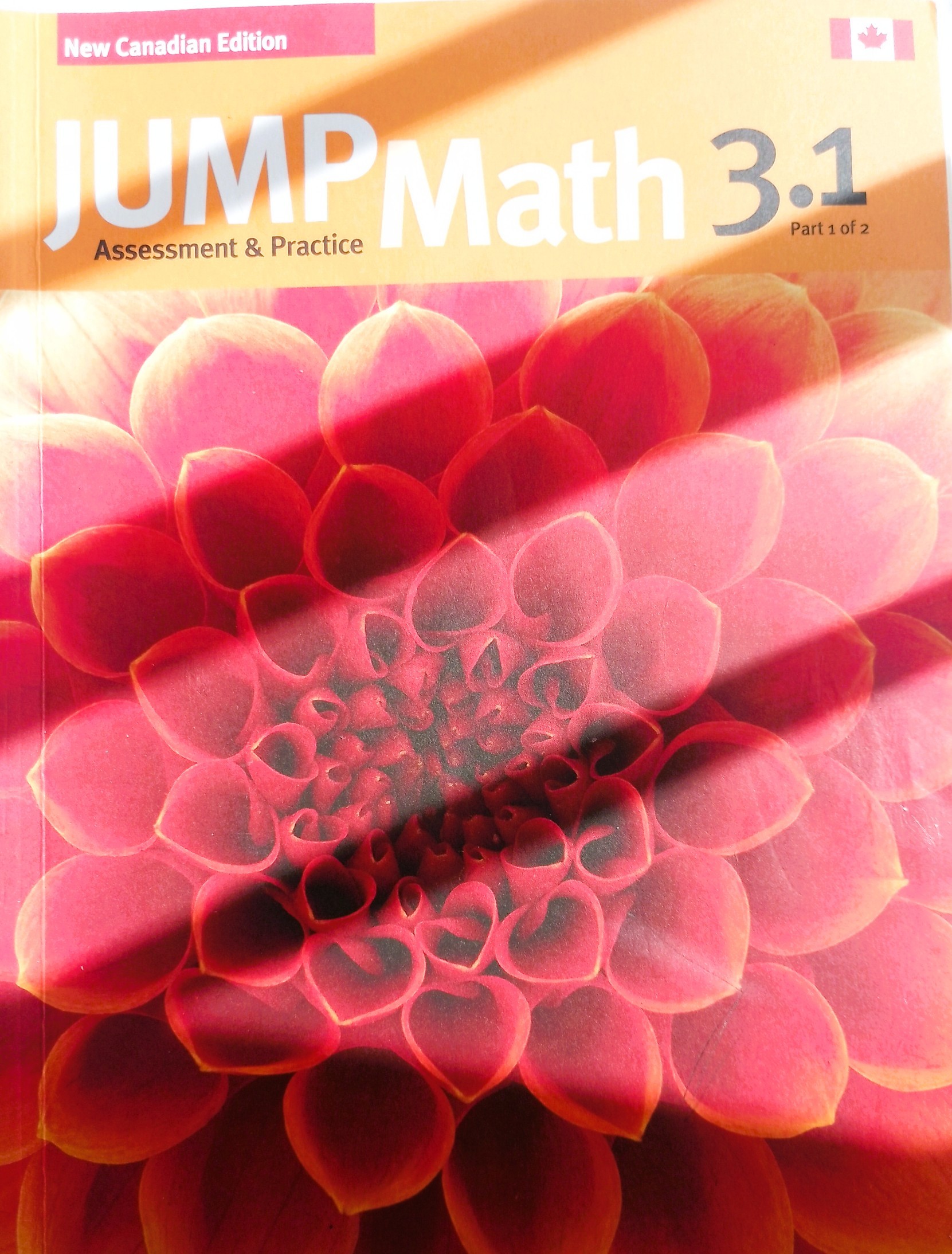 JUMP Math 3.1 & 3.2 Assessment & Practice Books
