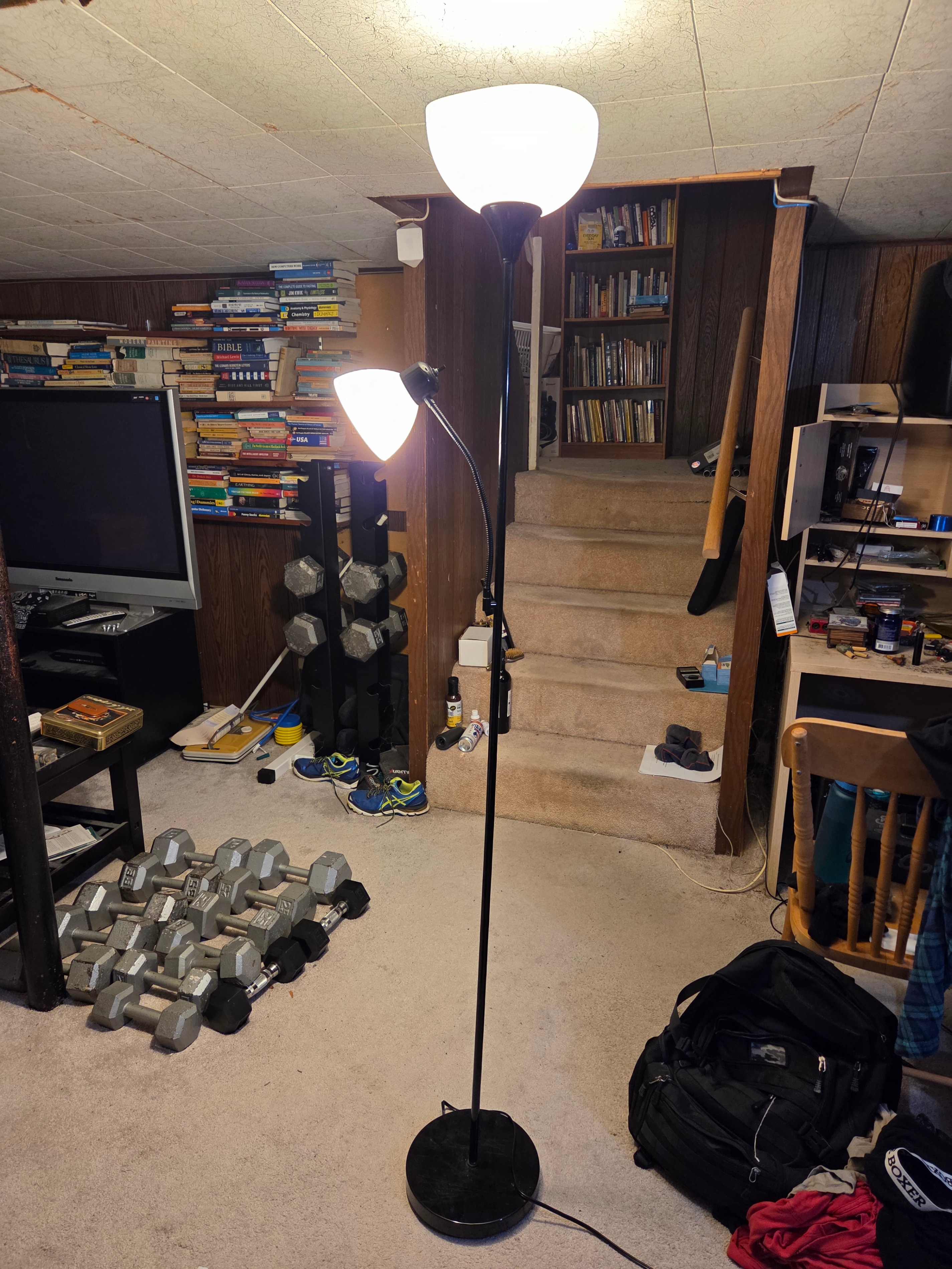 2-Light Mother-Daughter Flexible Floor Lamp