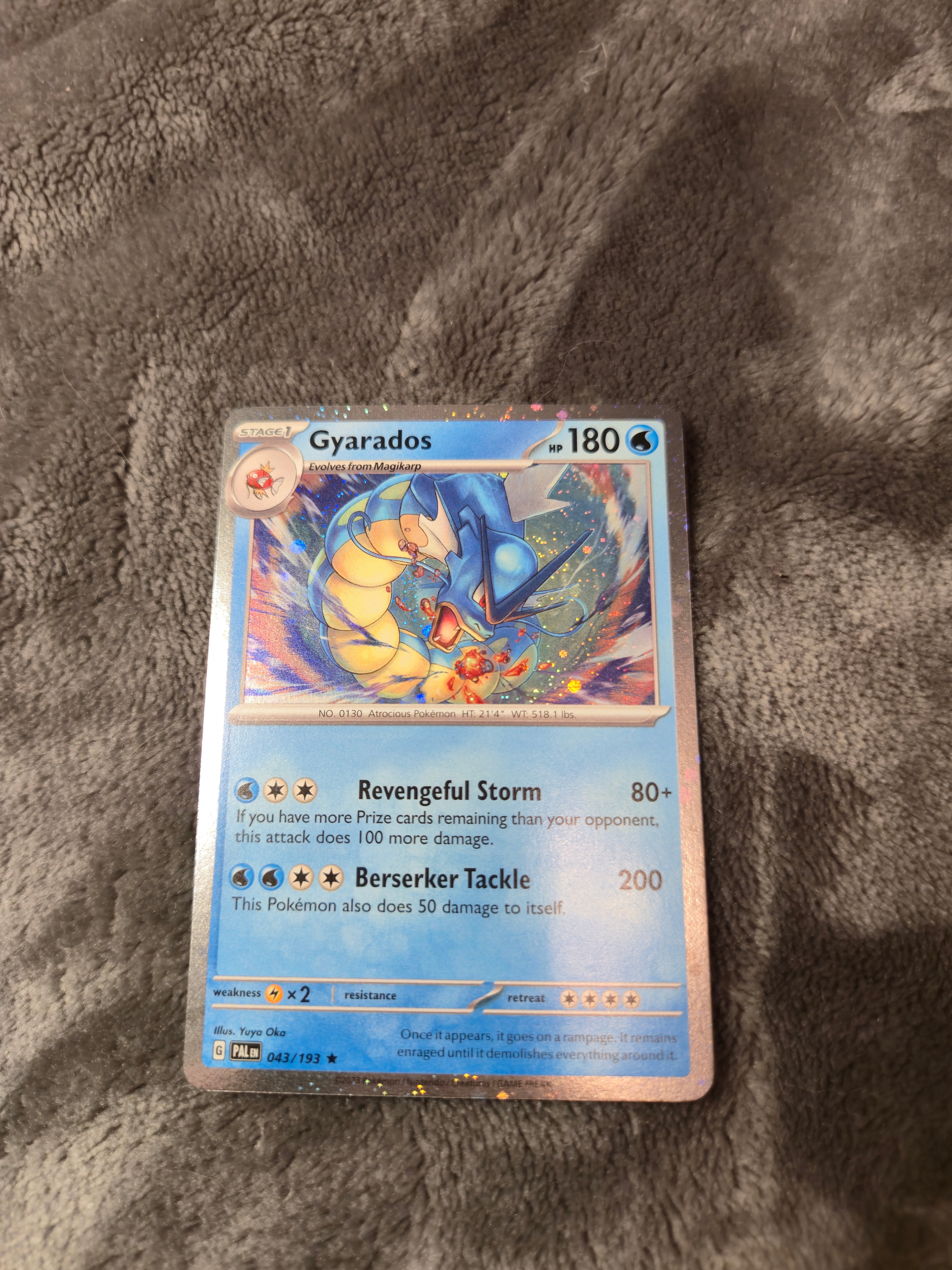 Pokemon Card Collection - photo 3