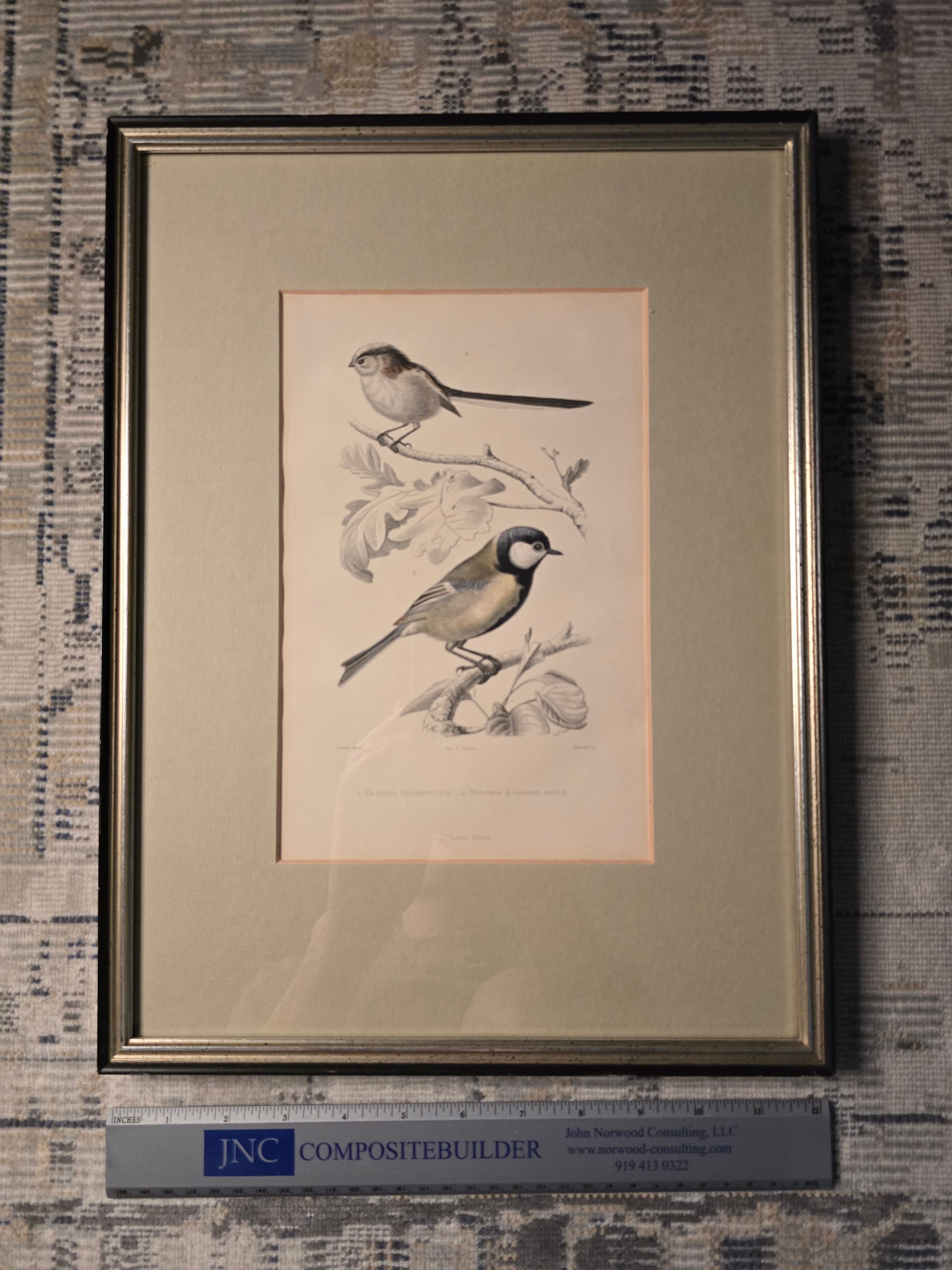 MOVING SALE - Antique Bird Print Framed