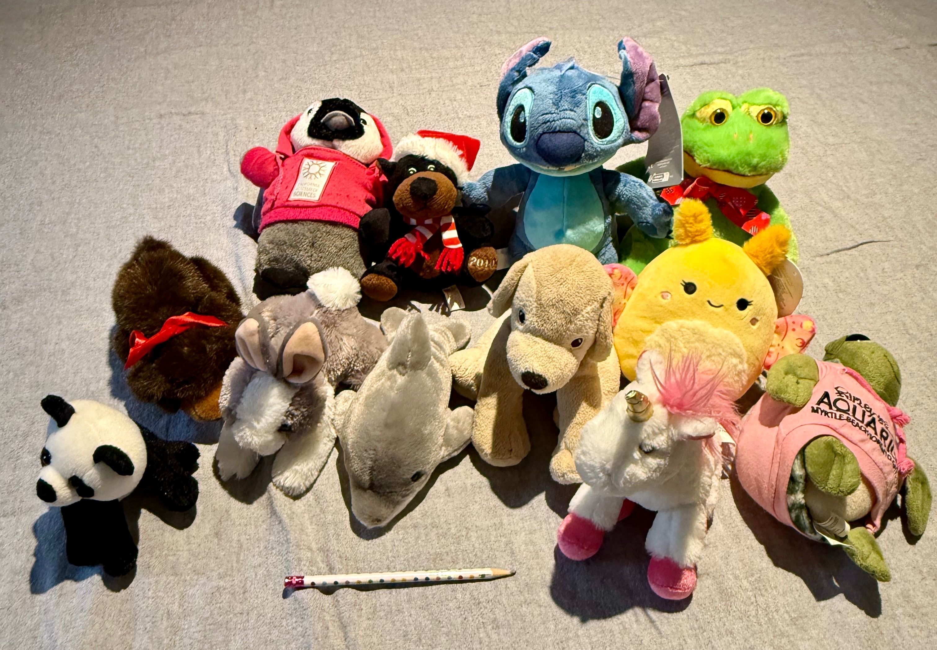 🧸 Stuffed Animal Adoption Event 🧸 - photo 5