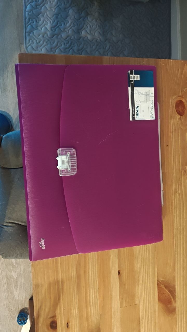 Expanding File Folder / Document Organizer (Purple)