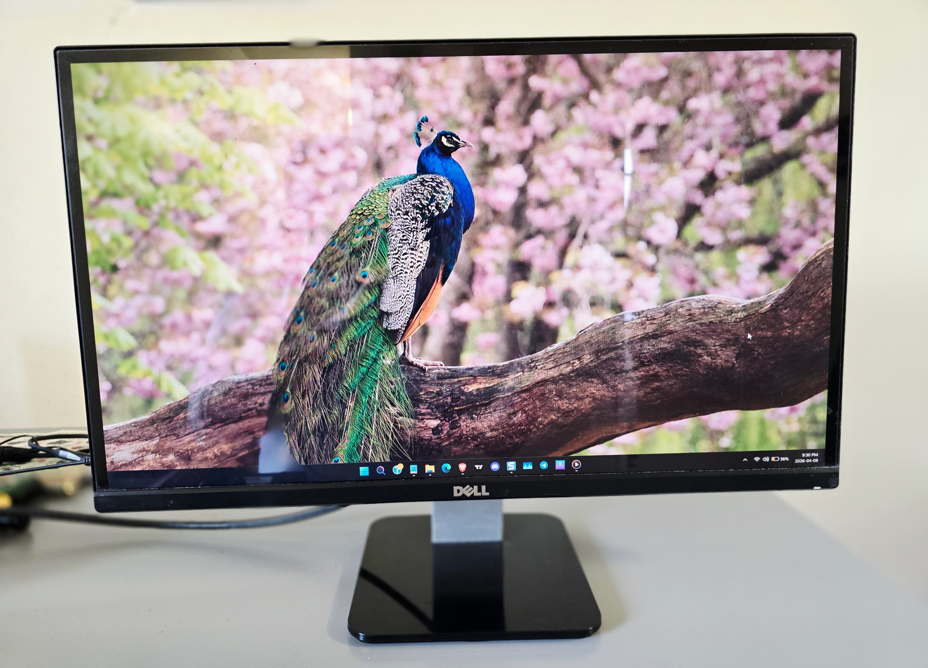 Dell 23 inch LCD Monitor