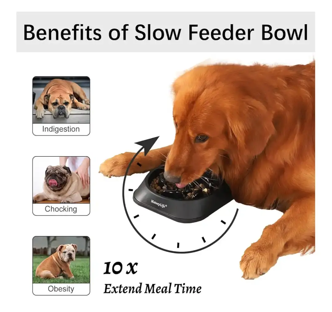 MateeyLife Slow Feeder Dog Bowl Medium Black - photo 2