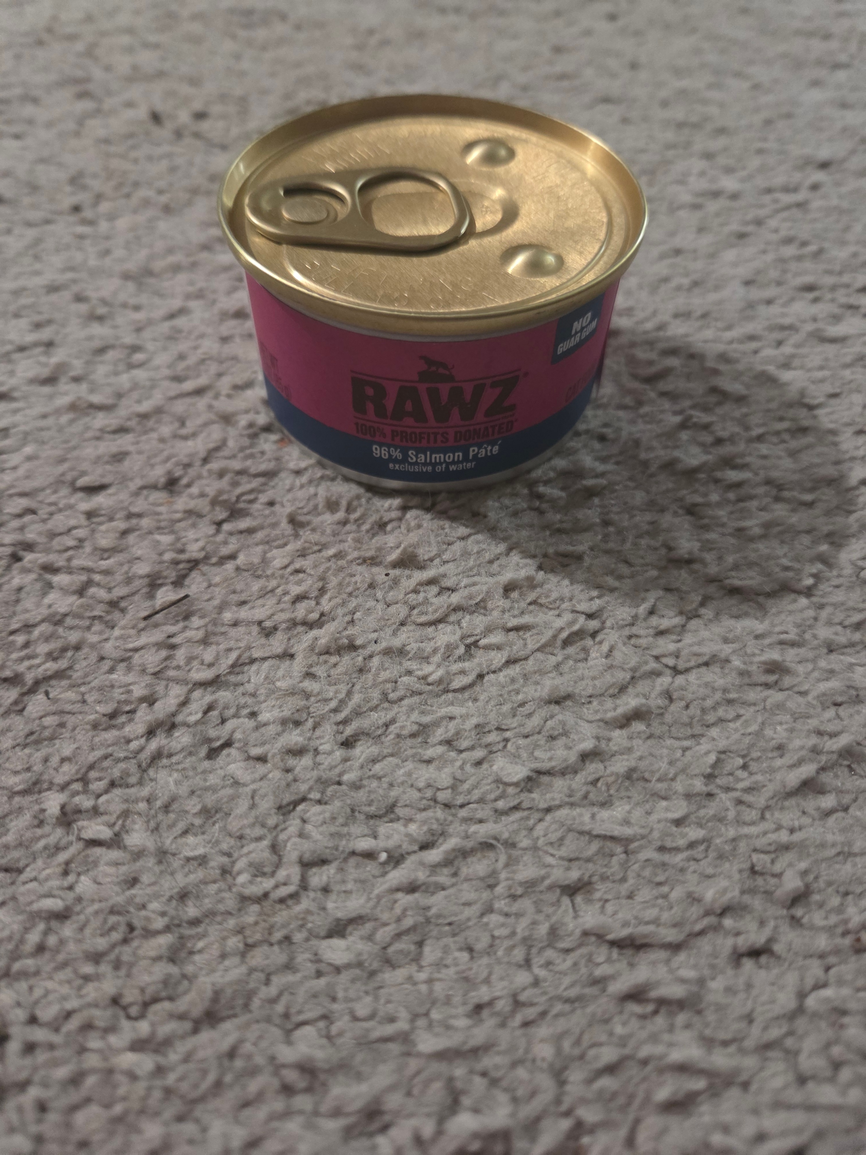 RAWZ 96% Salmon Pate Premium Wet Cat Food, High Protein, 3oz