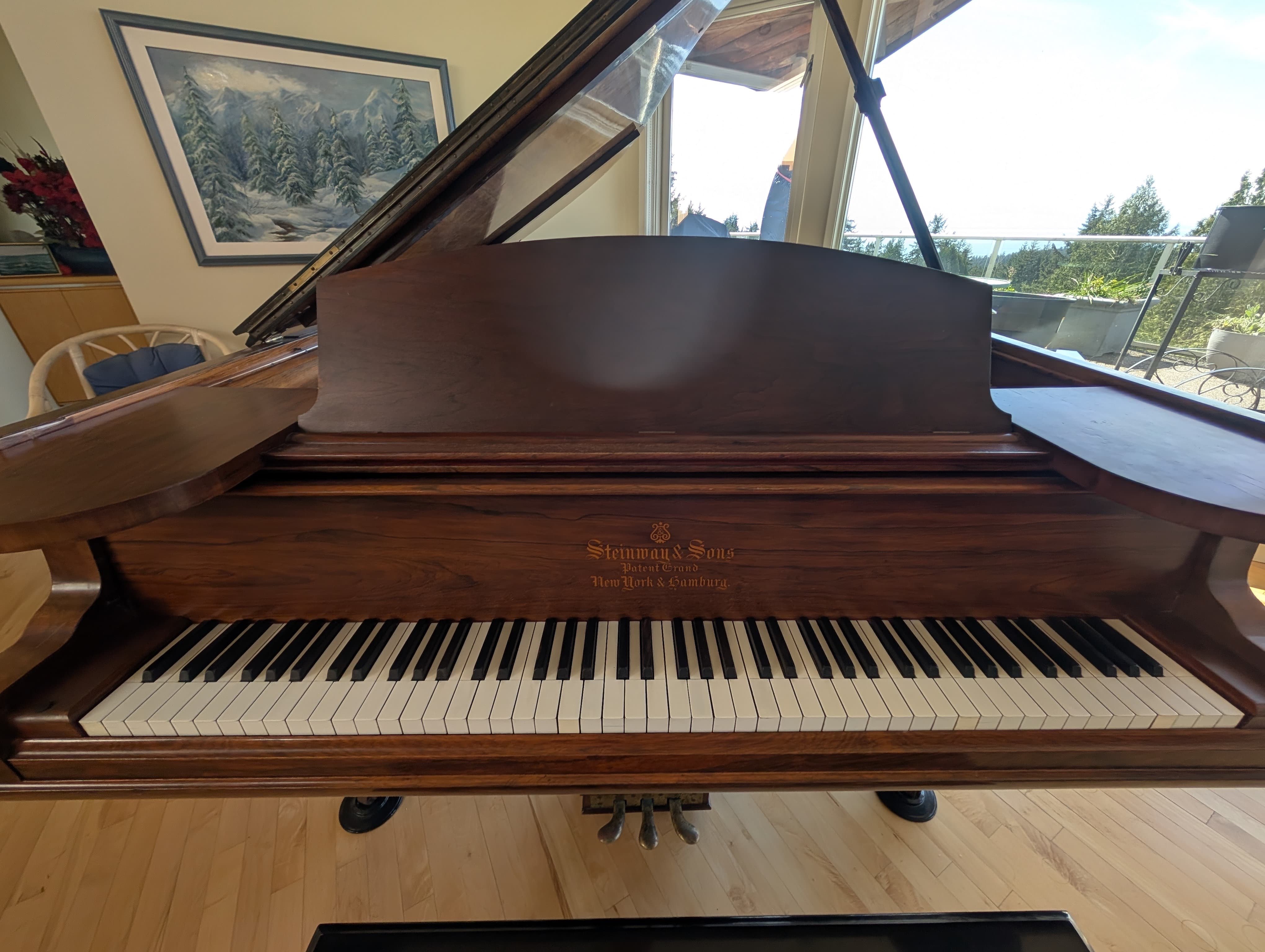 Steinway & Sons - Model C Concert Grand Piano - photo 4