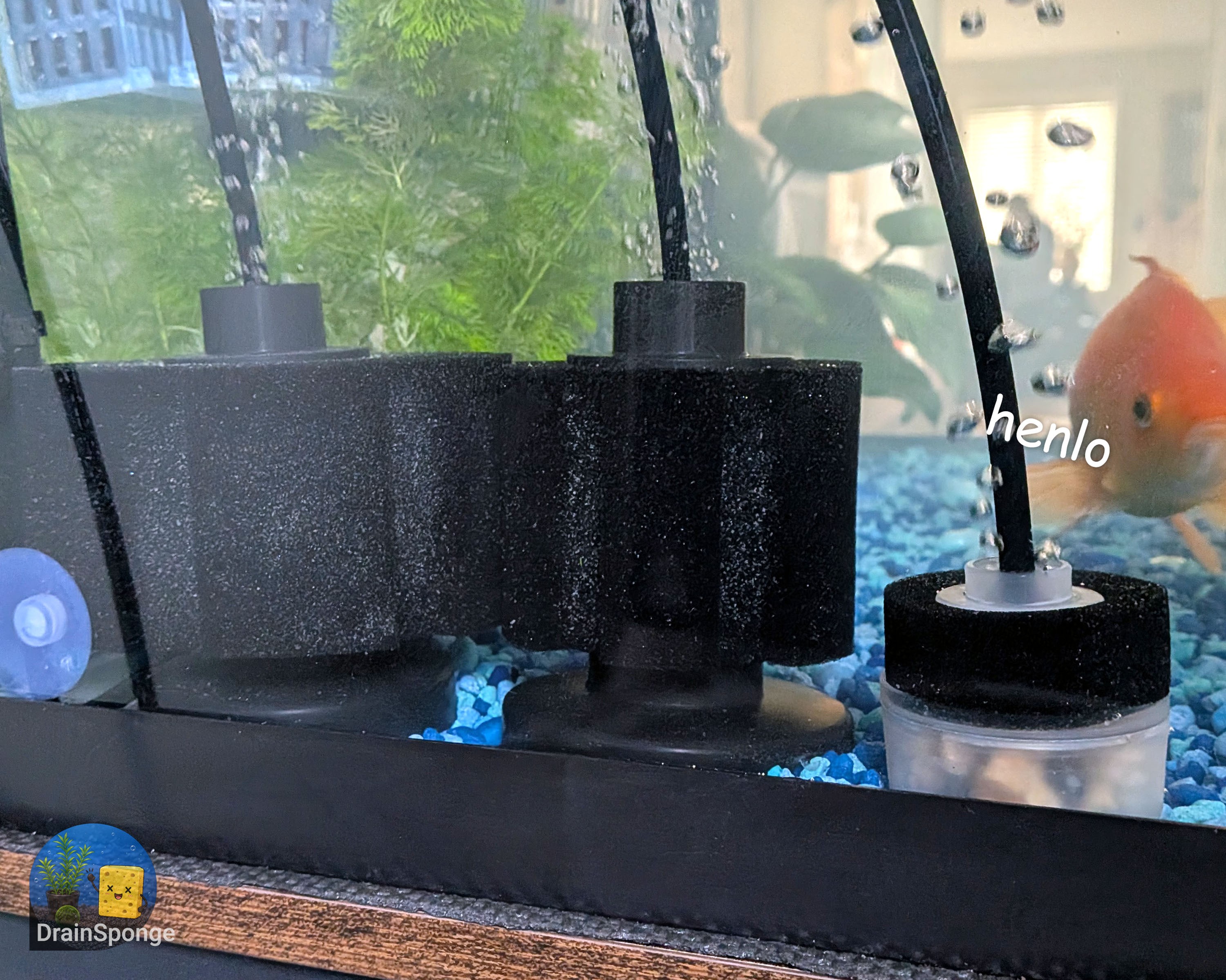 🧽 Seeded Sponge Filter – Ready to Use🐟 - photo 5