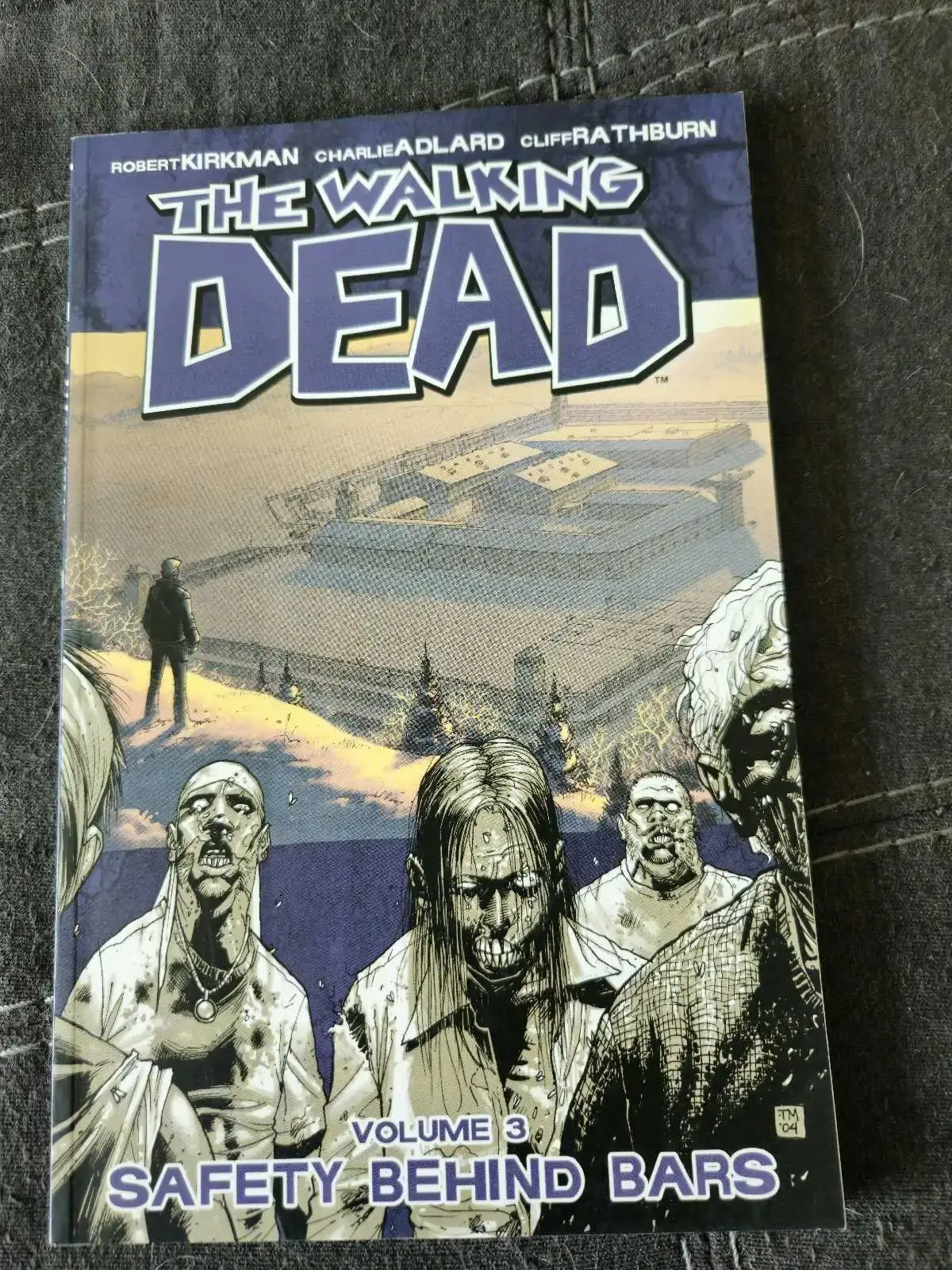 The Walking Dead Comic Books Vol. 1-3 - photo 3