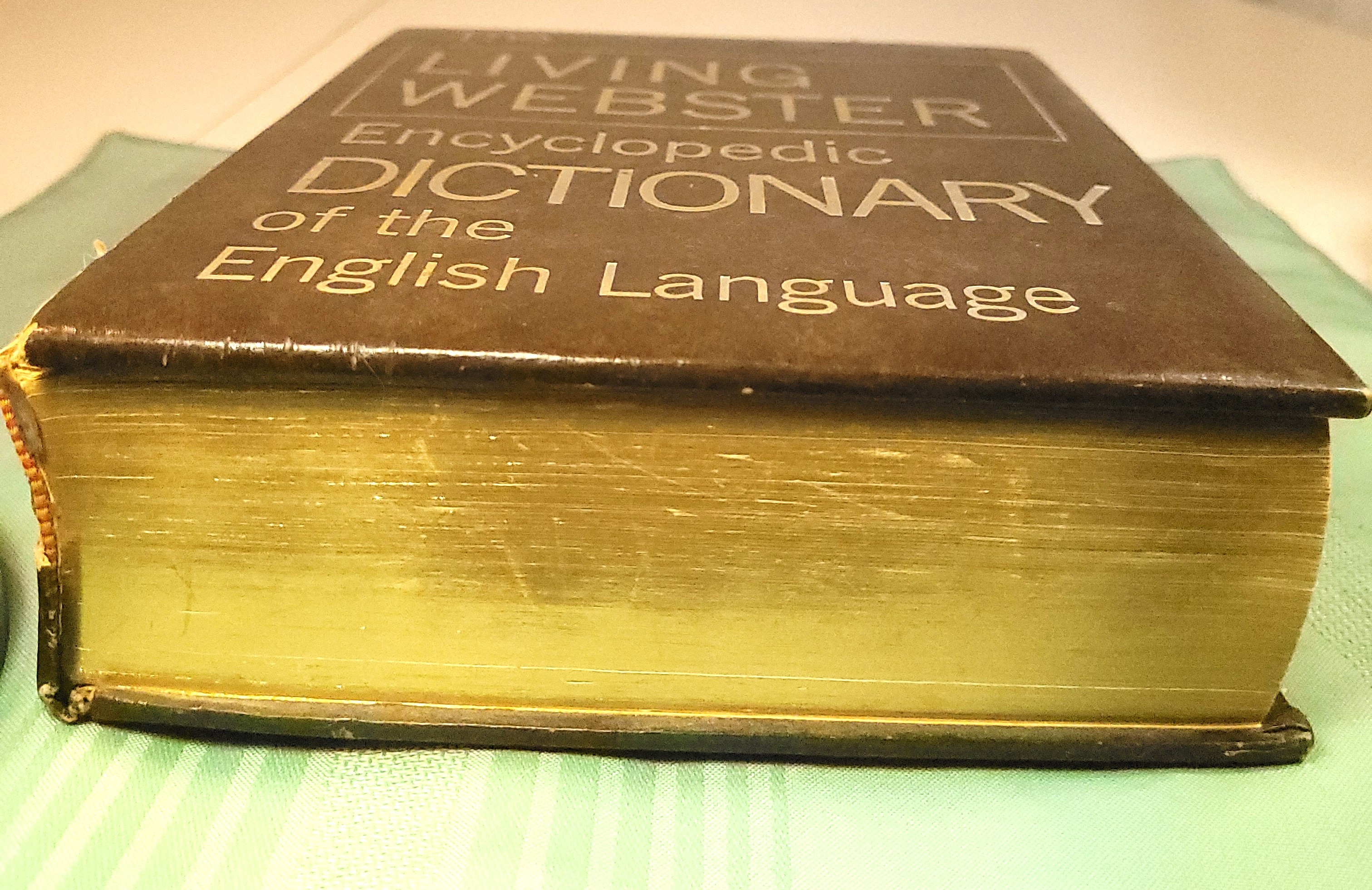 1974 The Living Webster Encyclopedic Dictionary English Language - photo 3