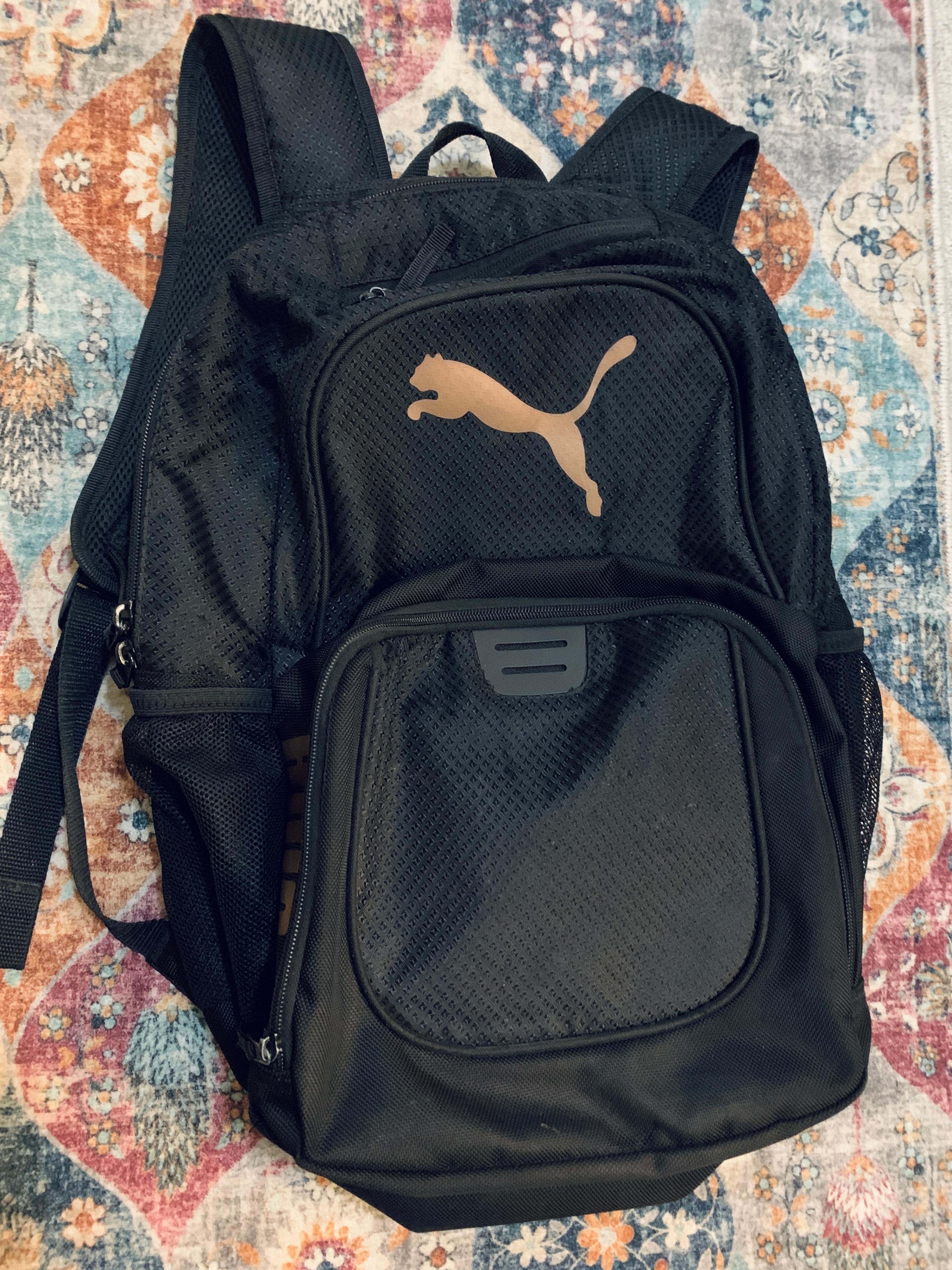 Black Puma Backpack