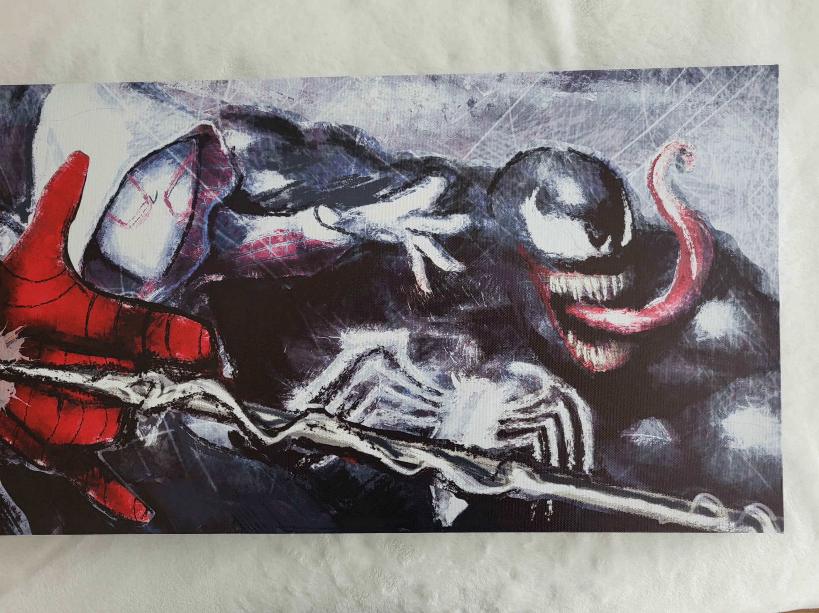 Spider-verse Canvas - photo 3