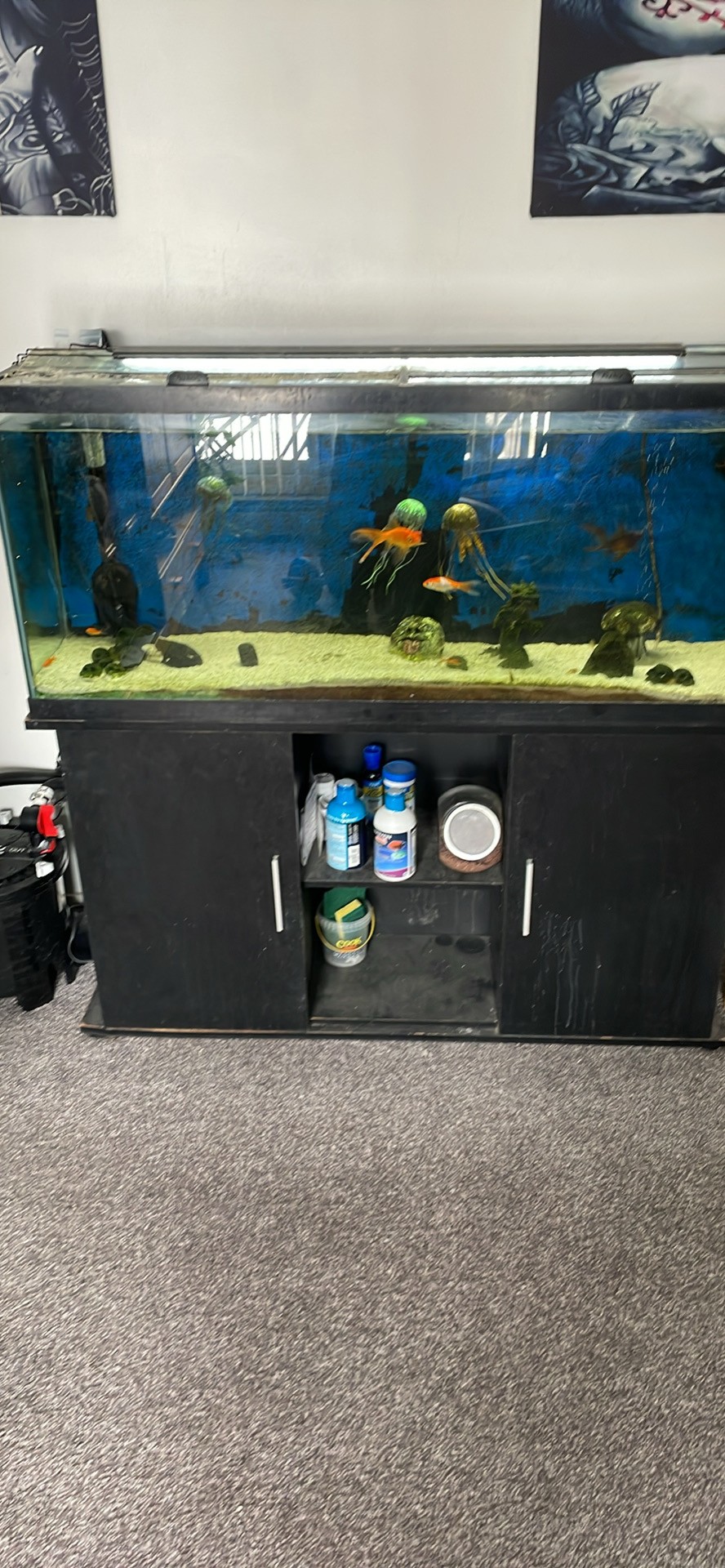 55gal Aquarium & EVERYthing