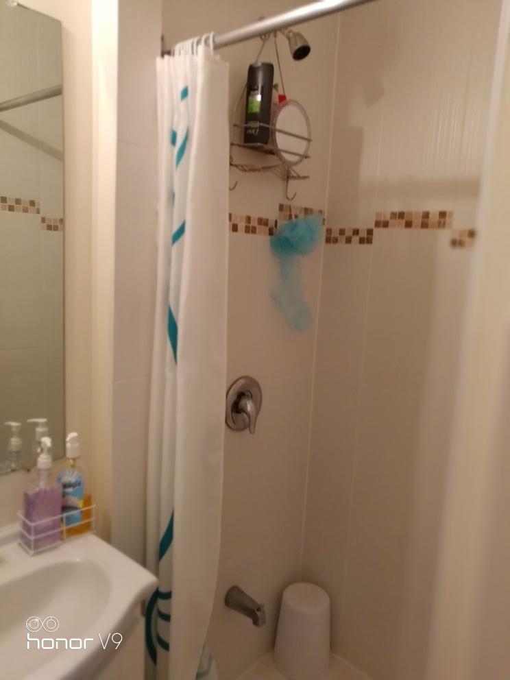 York Uni. 1 room with private washroom - photo 2