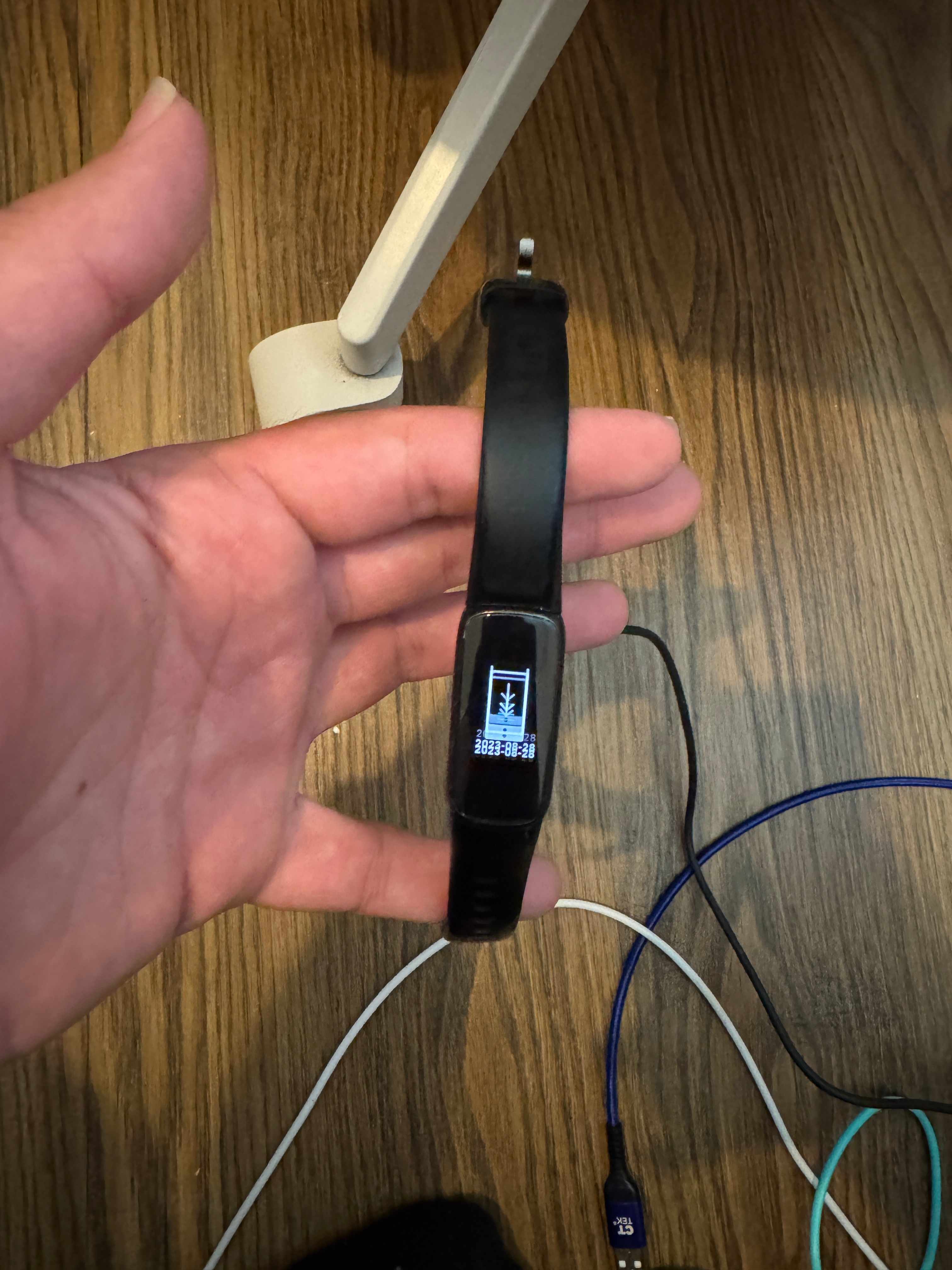 Fitbit Fitness Tracker with Charger – Working
