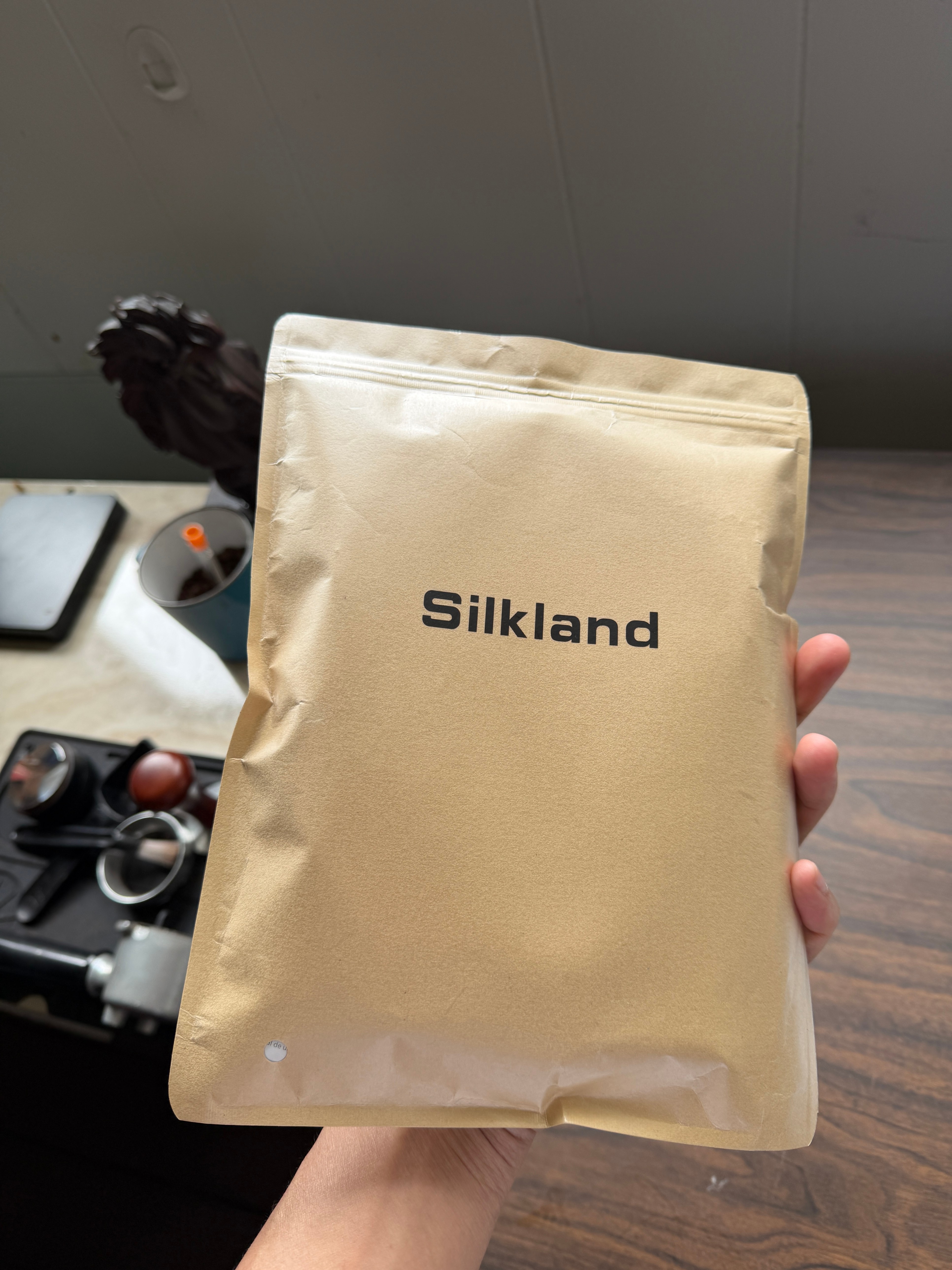 Silkland Display Port - photo 2
