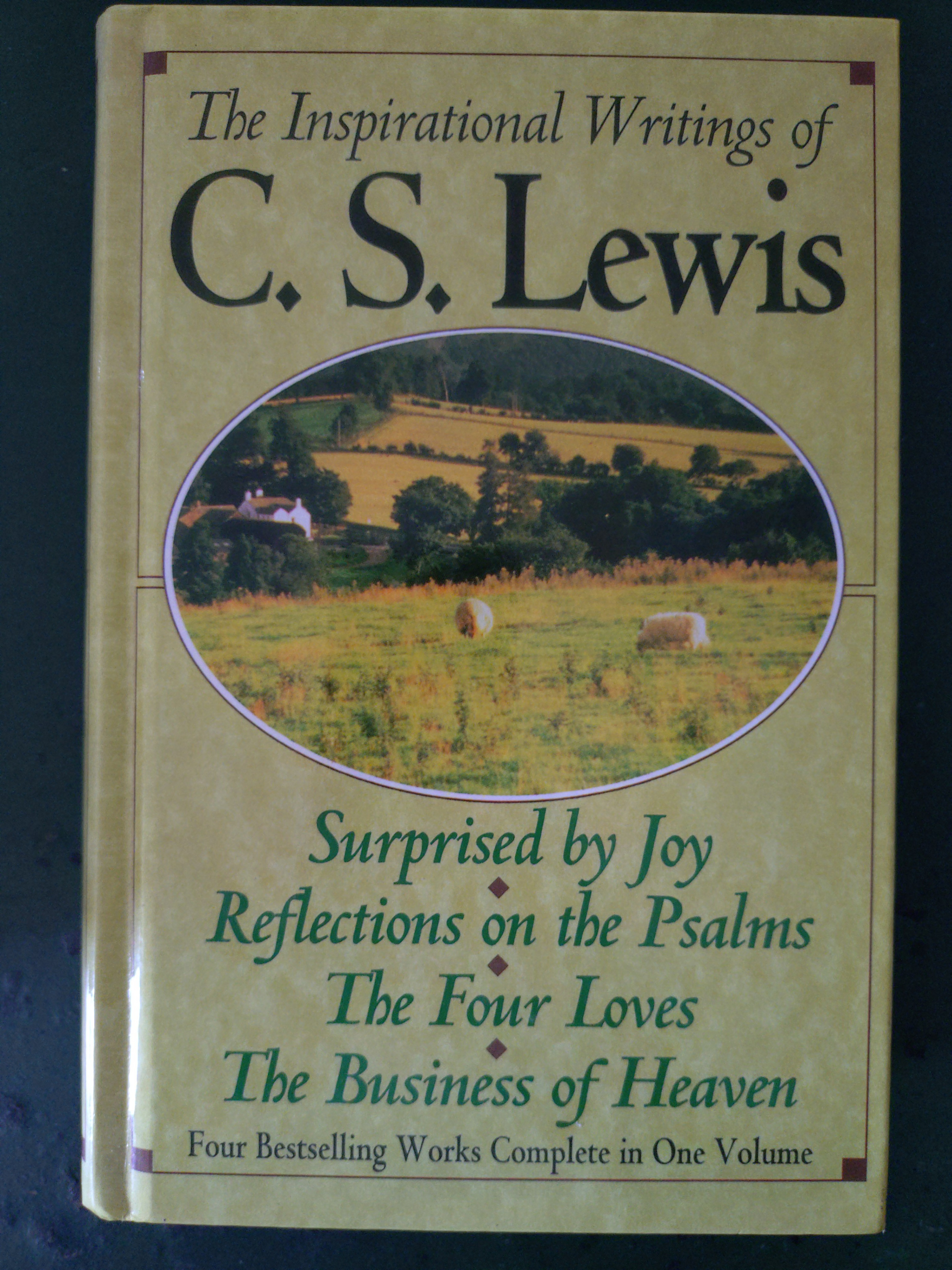 Large Biblical Studies, Christian Theology Book Bundle 20+ books - photo 2