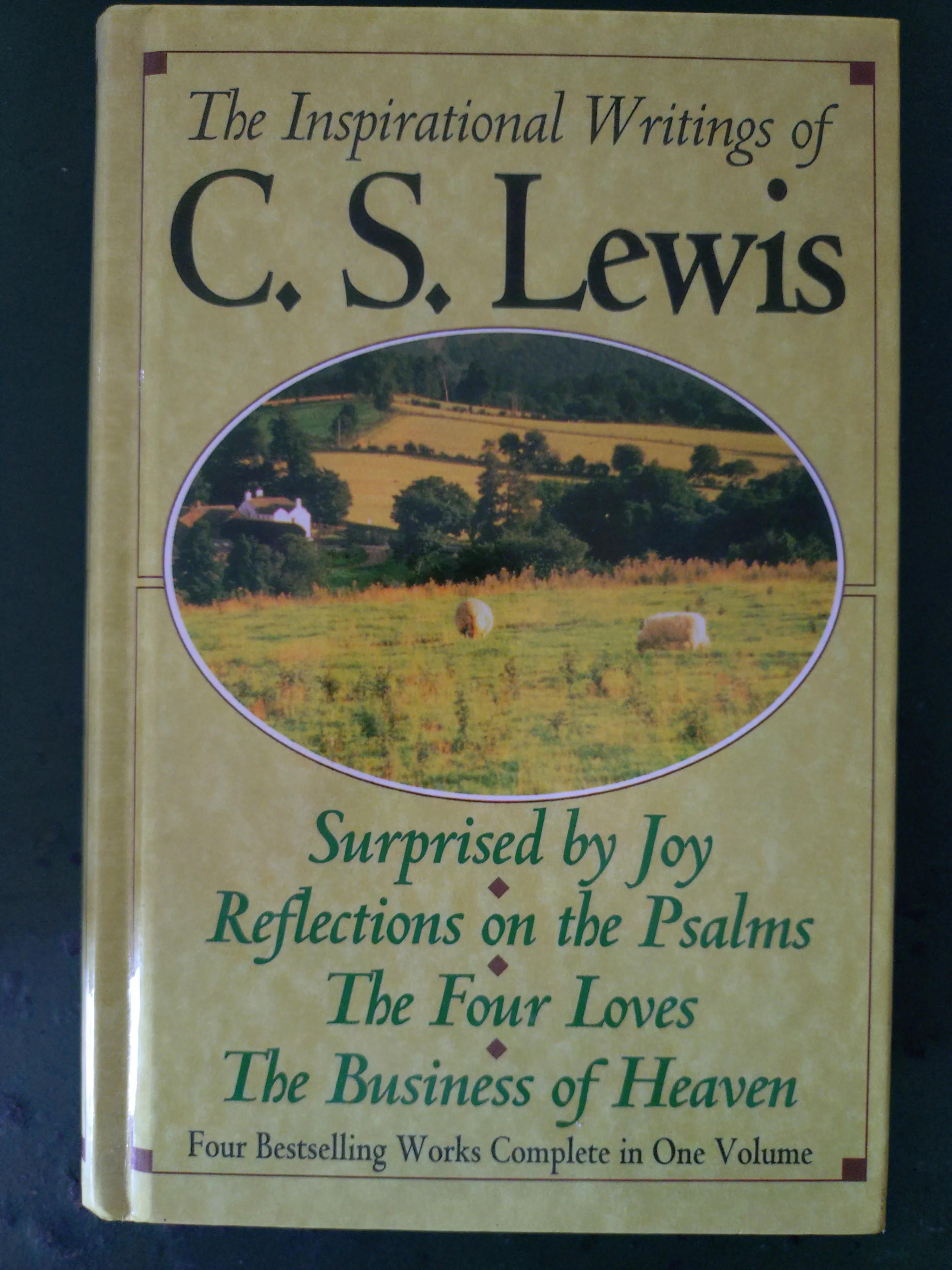 Large Biblical Studies, Christian Theology Book Bundle 20+ books - photo 2