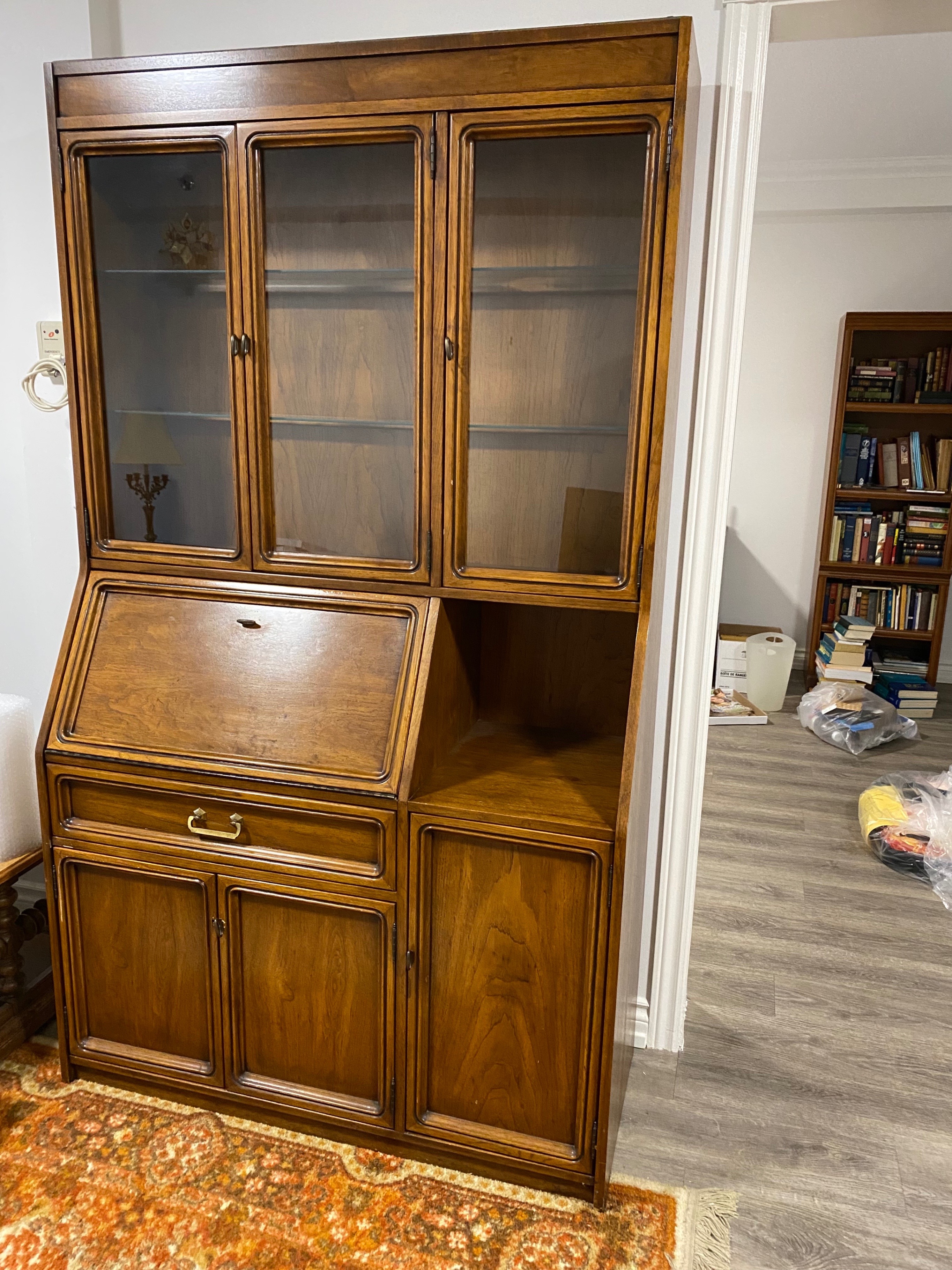 Vintage Display Cabinet - 1970s Sklar-Peppler