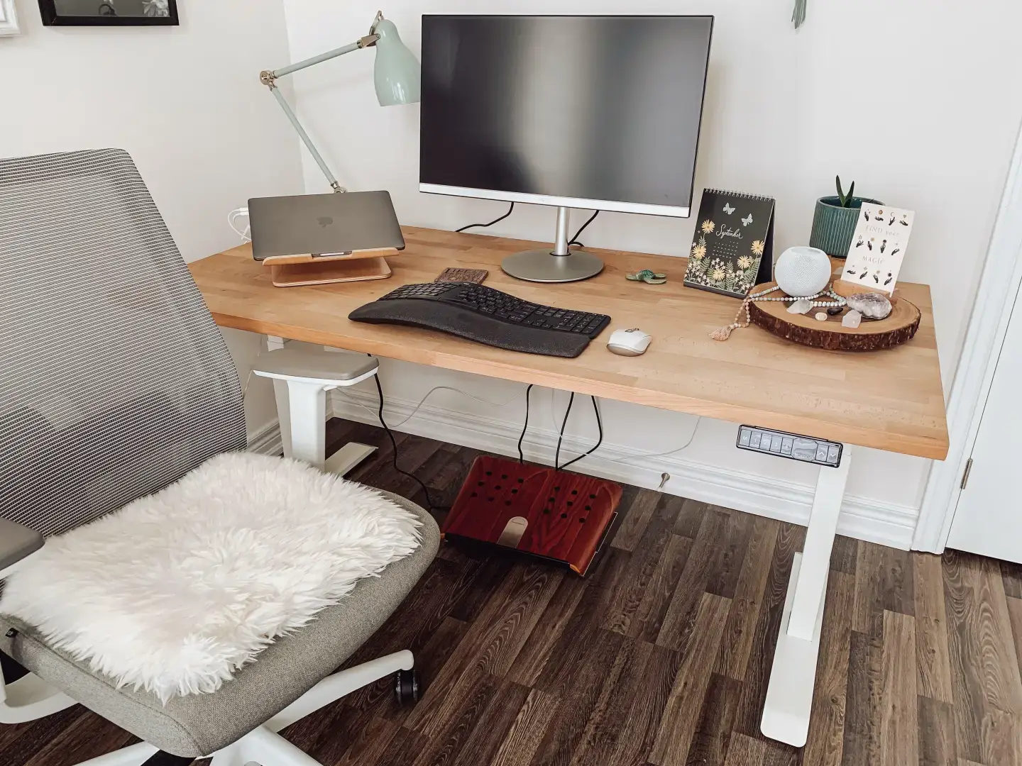 Burotic 30x60 Solid Wood Electric Standing Desk