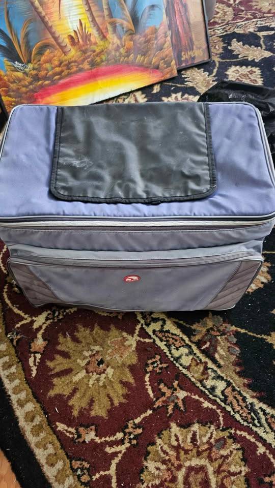 Igloo Cooler Bag