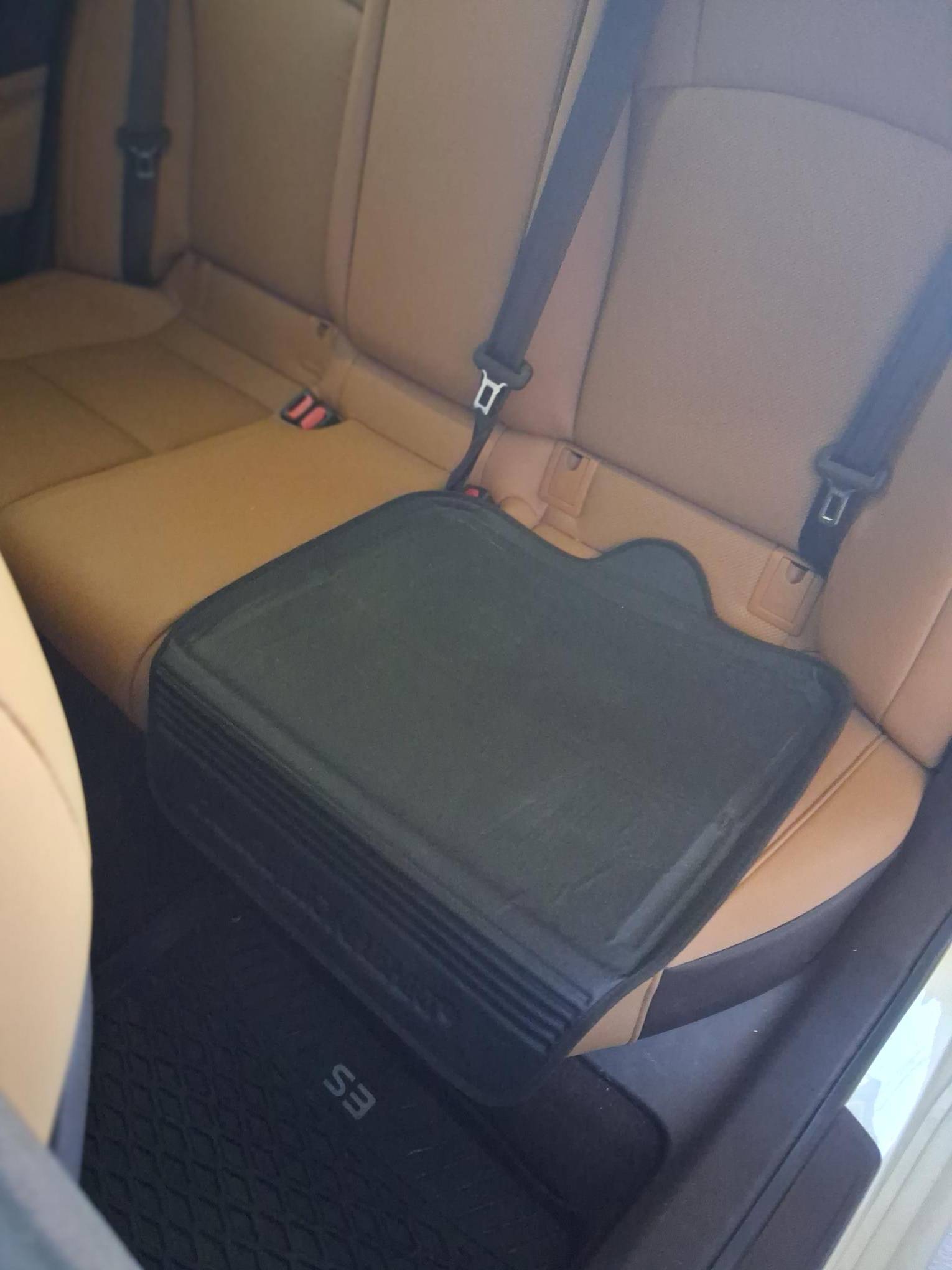 Prince Lionhead Car Seat Pad