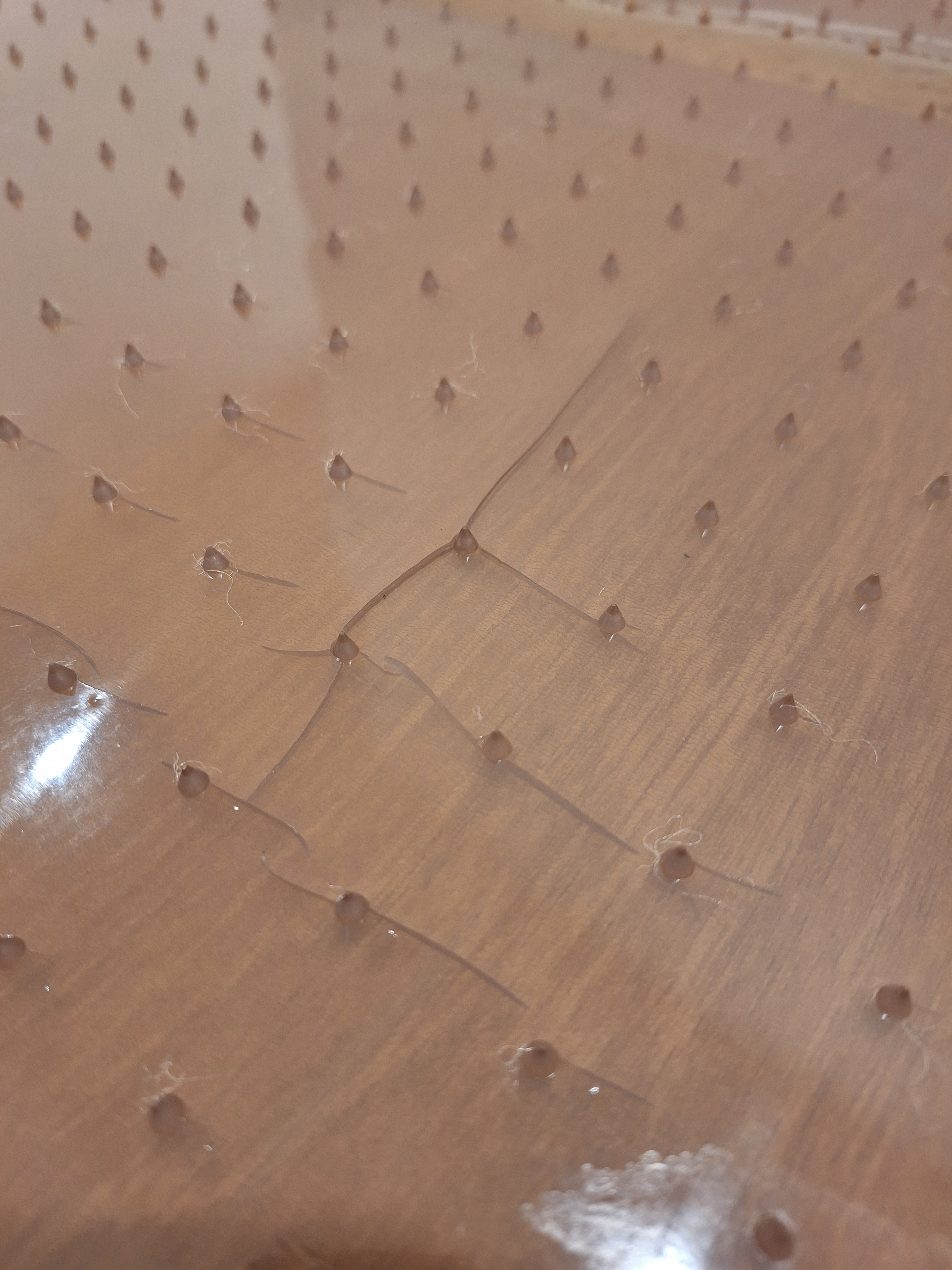 Free Chair Mats - Carpet Use Only - photo 4