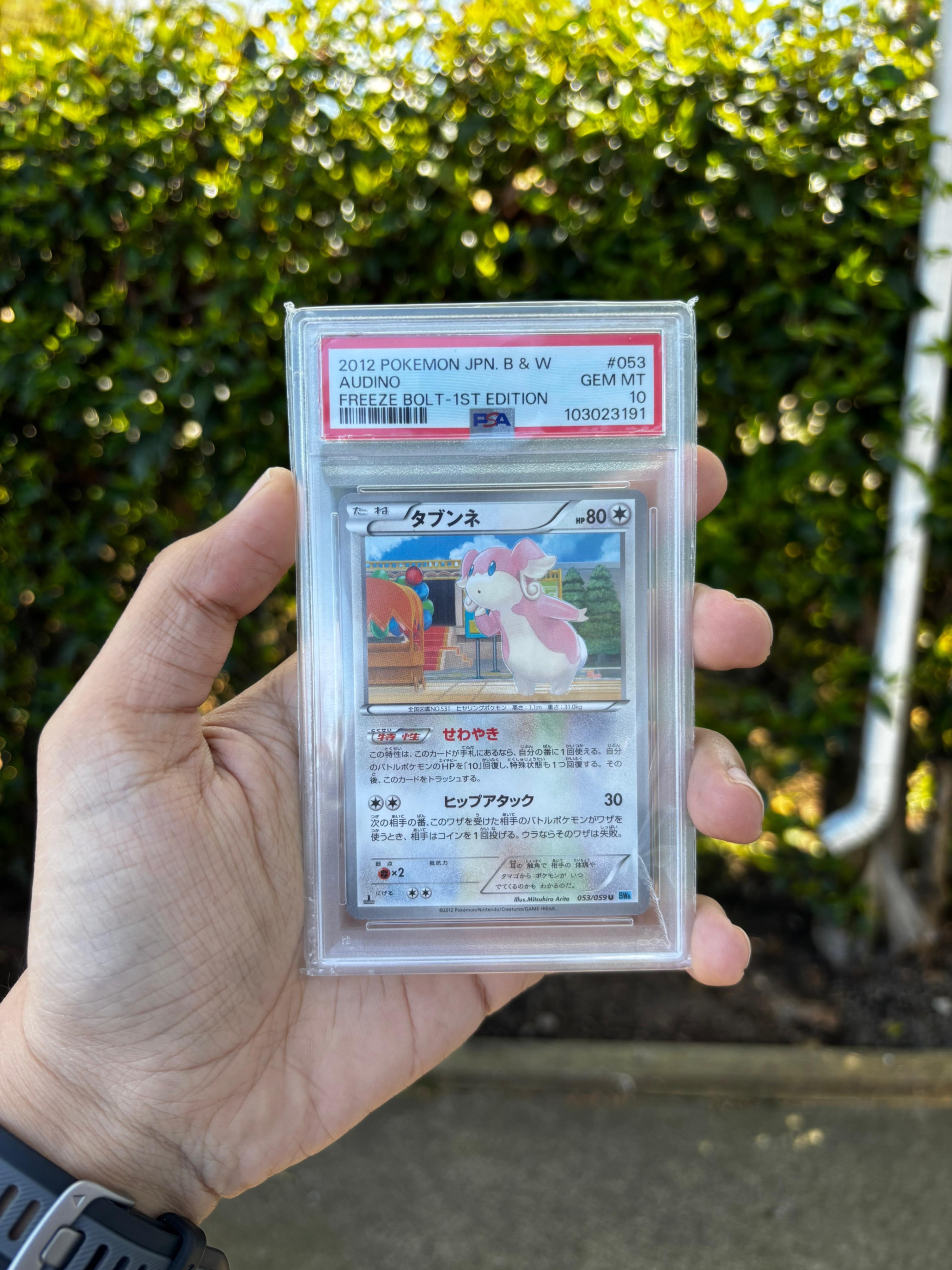 PSA 10 - 1st Edition - 2012 Pokemon JPN B&W Audino Freeze Bolt