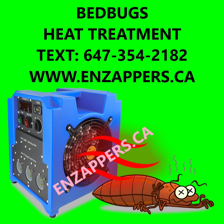 Heat Treatement of Bedbugs, 90 Days Warranty, 100 % Guranteed