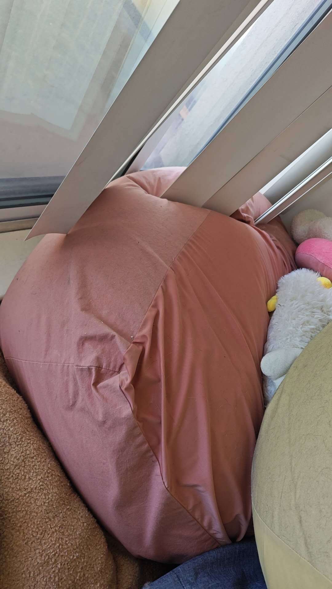 两个填充式懒人沙发 + 全新牛仔套 / 2 Bean Bag Chairs + New Denim Cover - photo 3