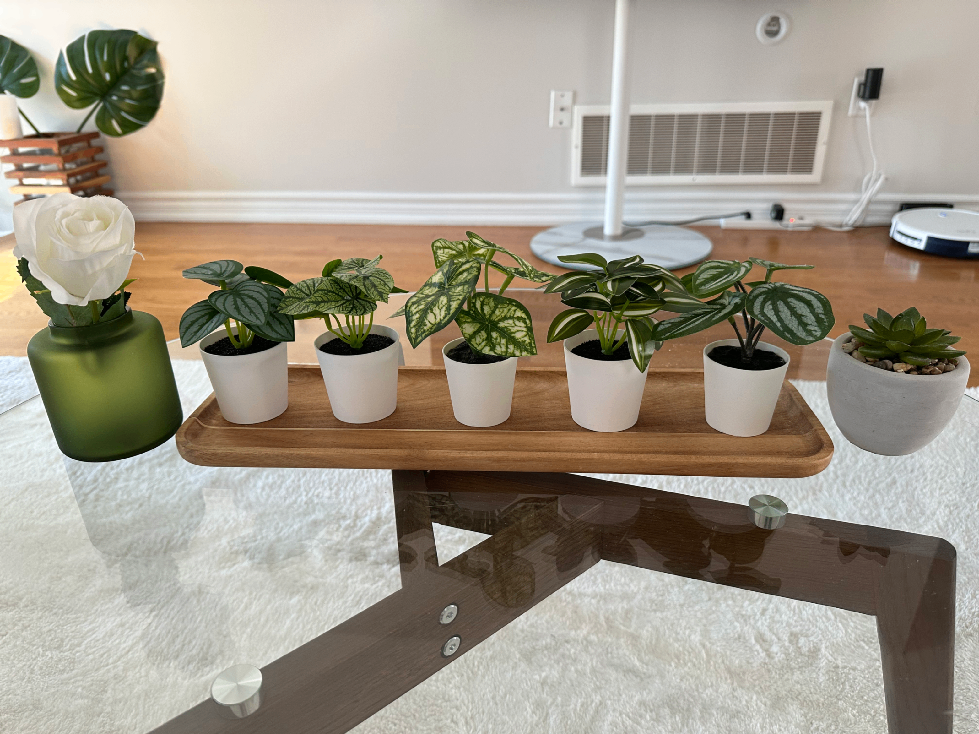 IKEA Home Decor Set: Artificial Plants, Glass Vase & Wooden Tray - photo 5