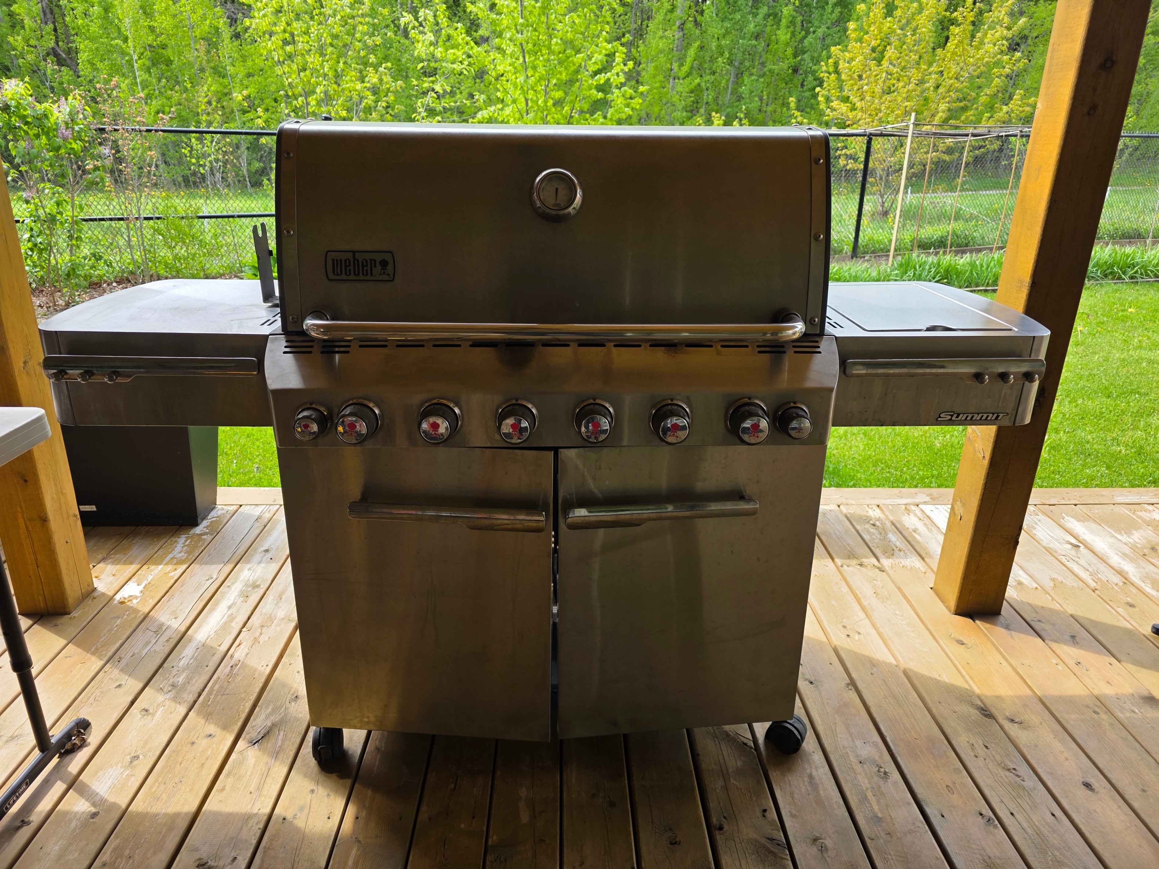 Weber Summit S-670 6-Burner Stainless Steel Grill