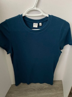 New Aritzia Teal T-Shirt, Medium, TNA HomeStretch