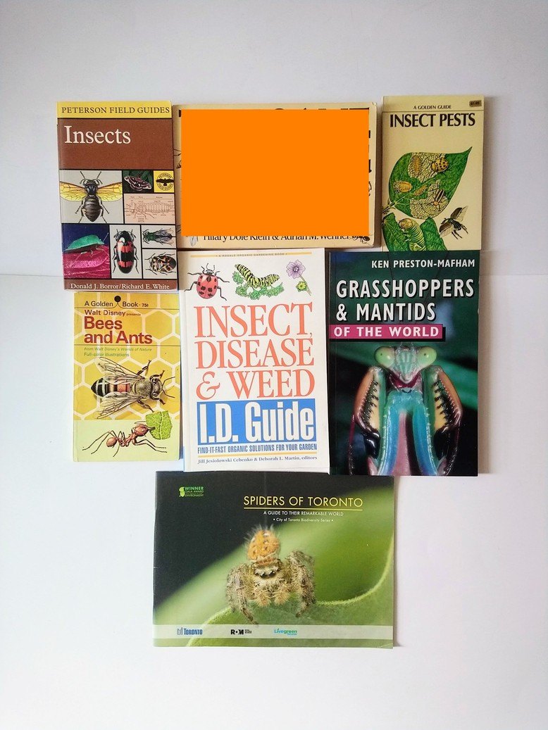 Insect & Bug books!