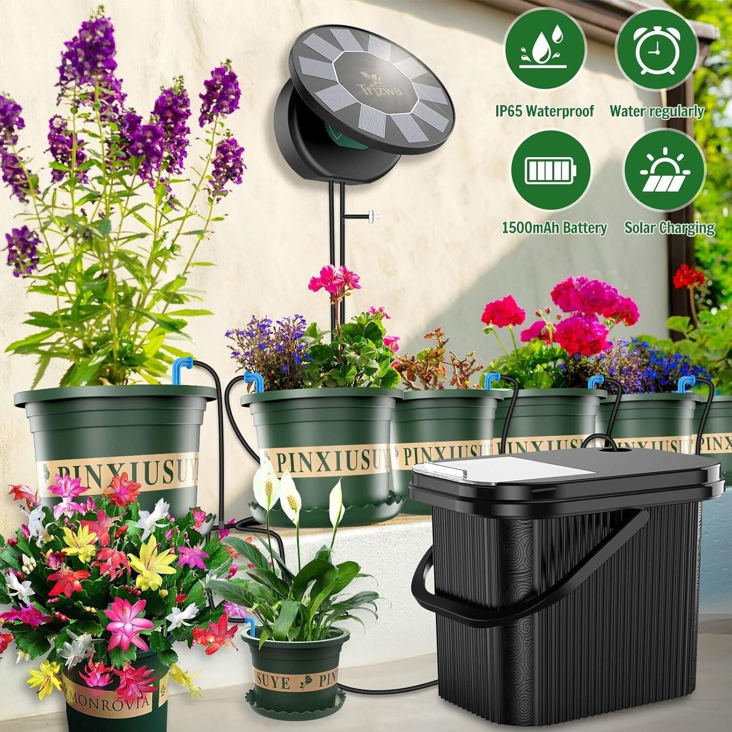 Trijzwa Solar Powered Automatic Drip Irrigation System