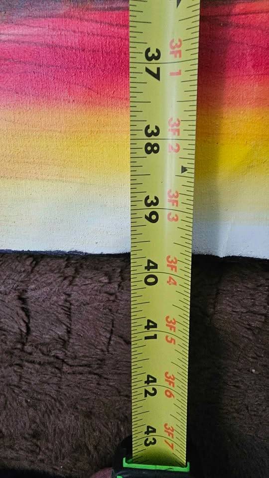 Tropical Sunset Palm Tree Painting - photo 3