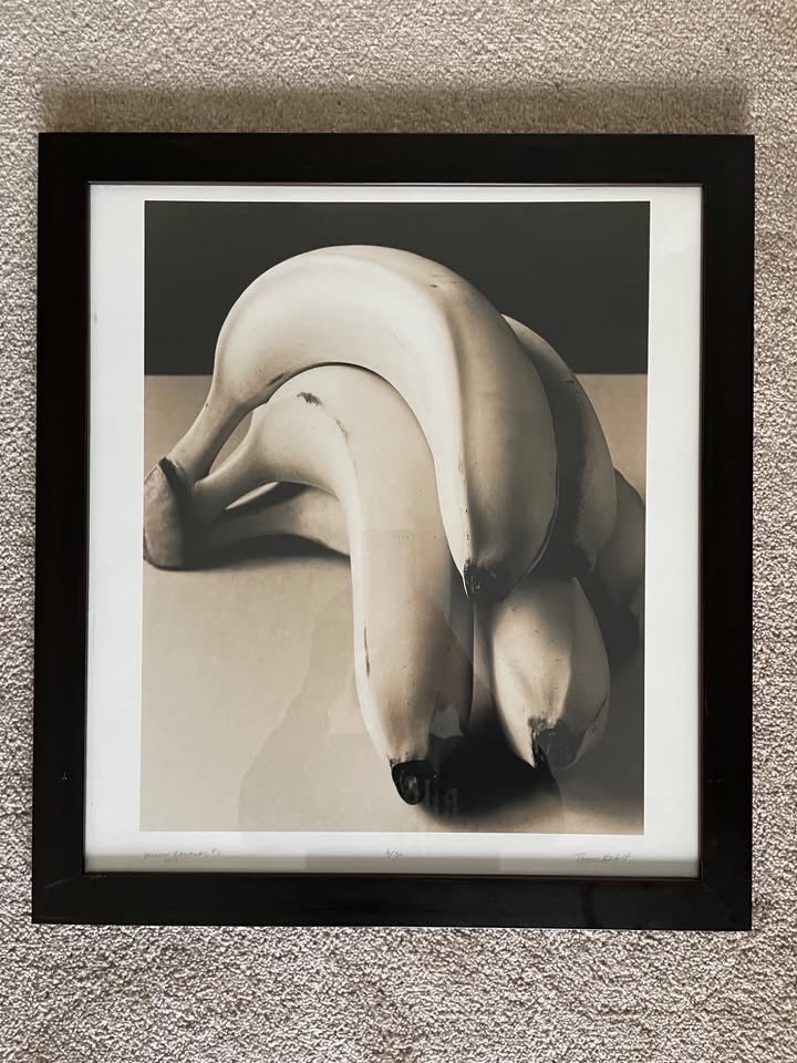 Thomas Horbett 3 Signed Limited Edition Still Life Photographs - photo 4
