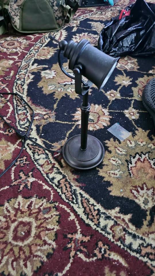 Dark Metal Adjustable Spot Lamp - photo 3