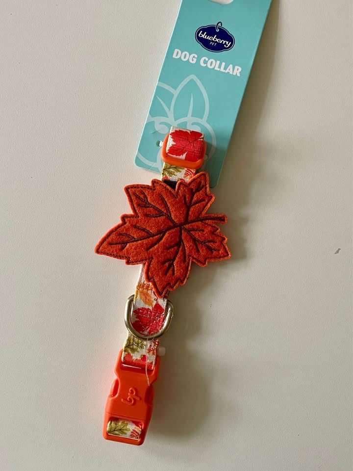 Dog Collar NEW - Blueberry Pet Fall Maple Leaf Thanksgiving - photo 5
