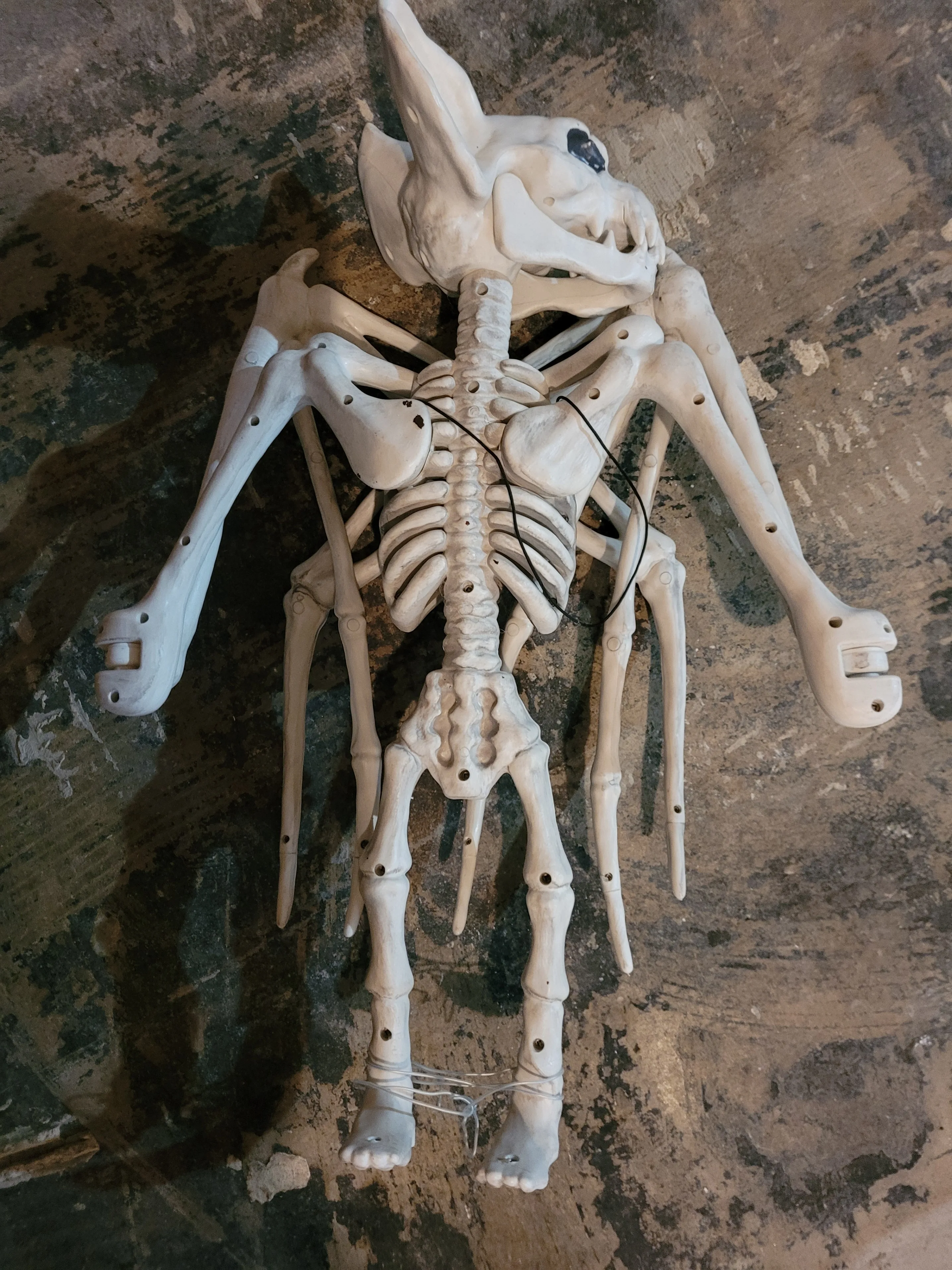 Halloween Decor Hanging Bat Skeleton